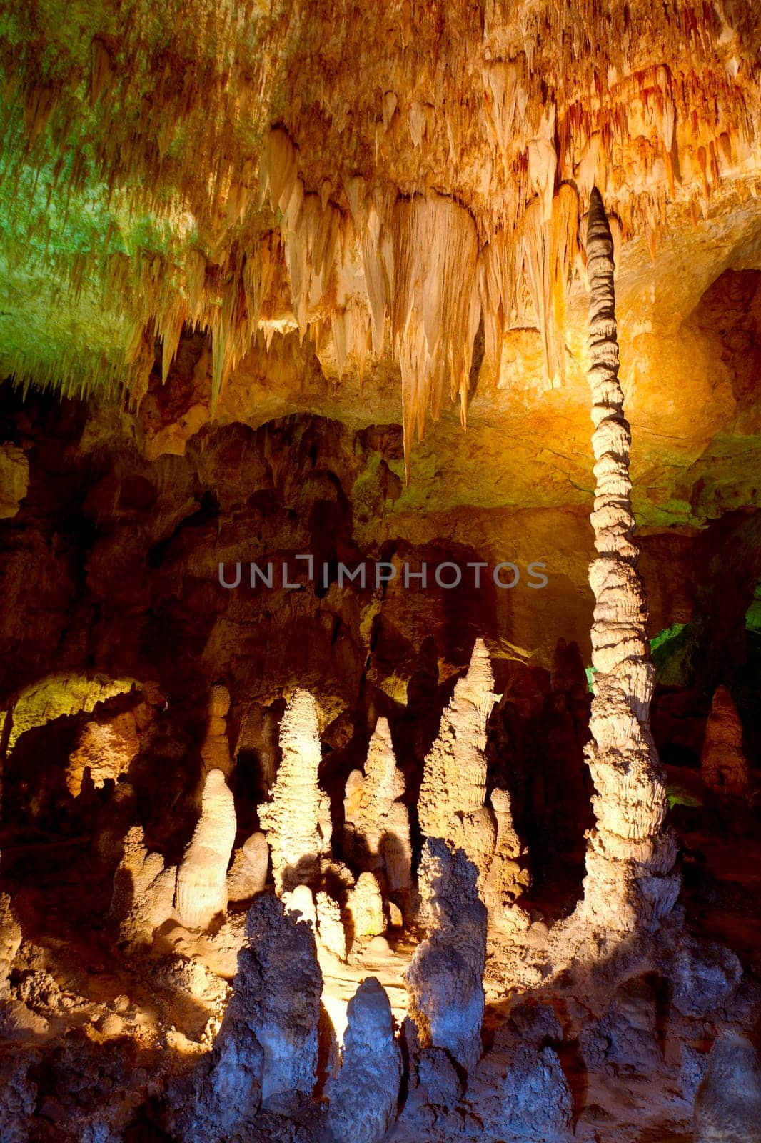 Carlsbad Cavern National Park in New Mexico