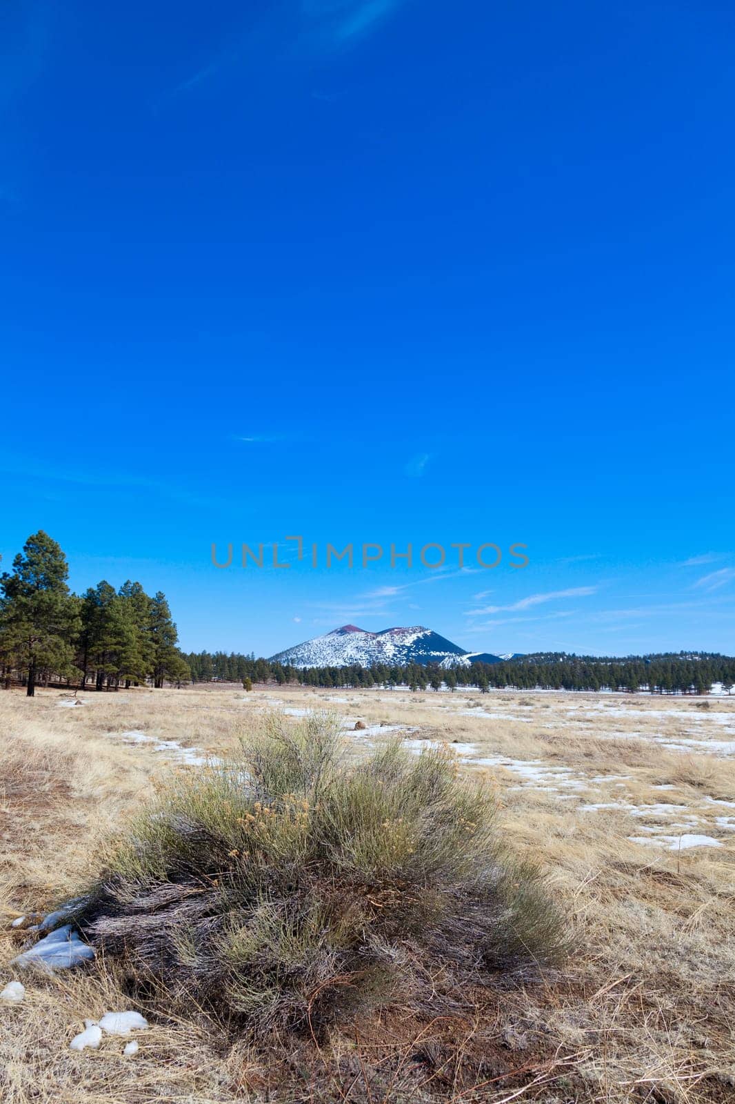 Image of Sunset Crater volcano in Flagstaff, Arizona