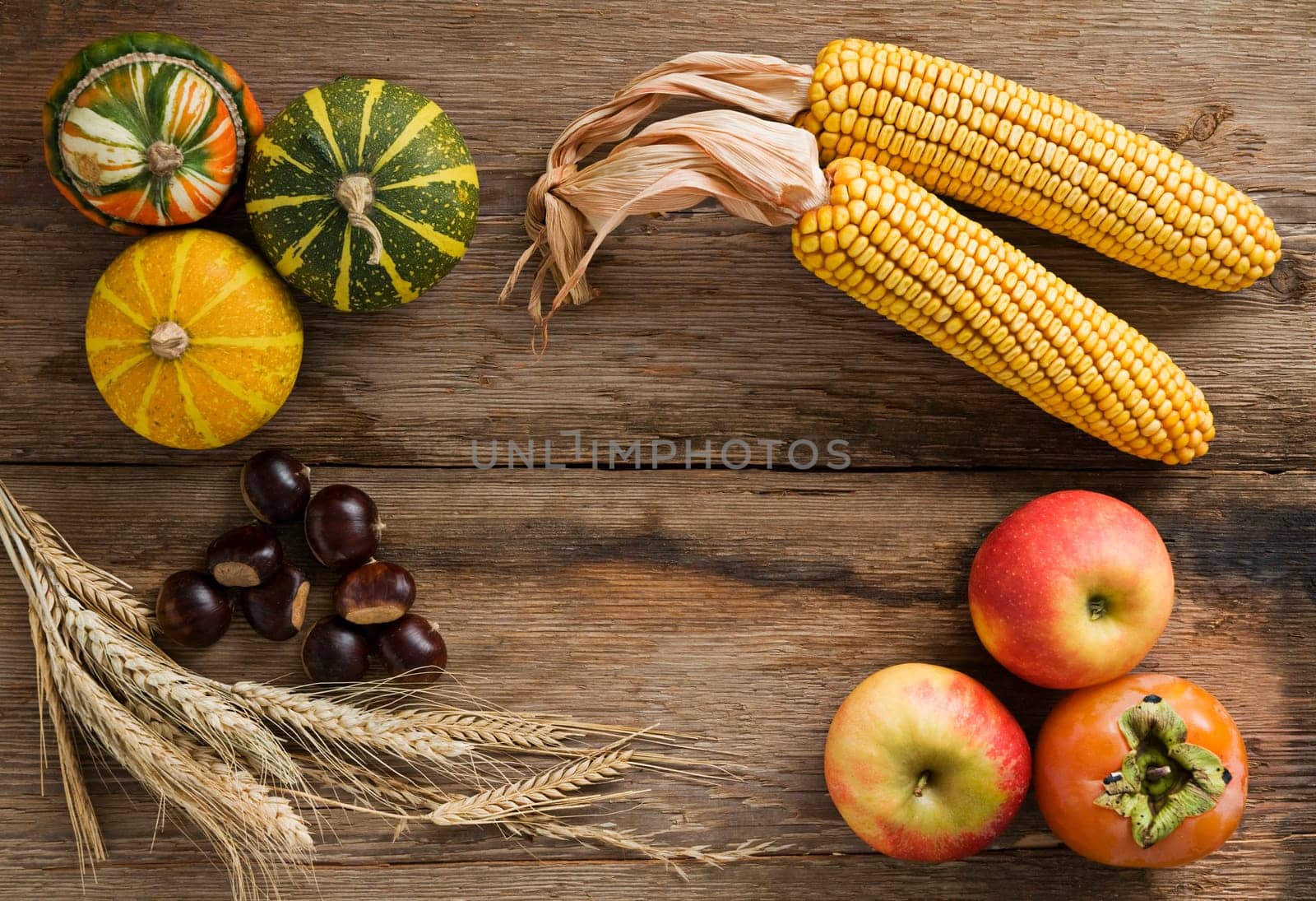 Pumpkins, corn, chestnuts, apple and persimmon fruit on wooden background