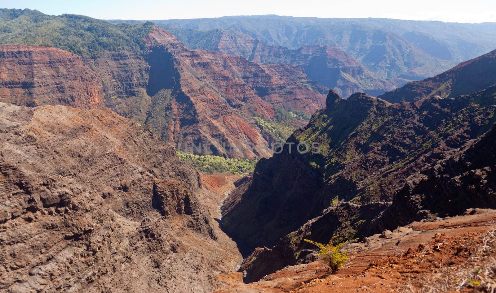 Early light illuminates the steep rock sides of Waimea Canyone on Kauai