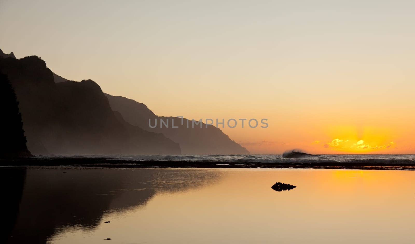 Albatros soaring over the Na Pali coast by Ke&#039 e beach in Kauai at sunset