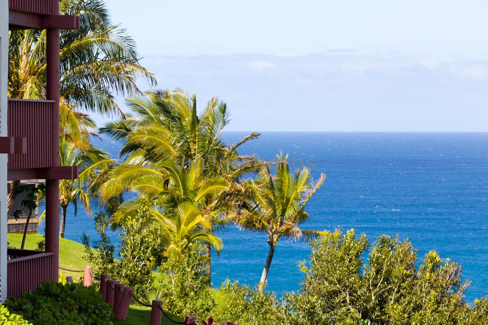 Holiday apartments overlook the sea in Kauai