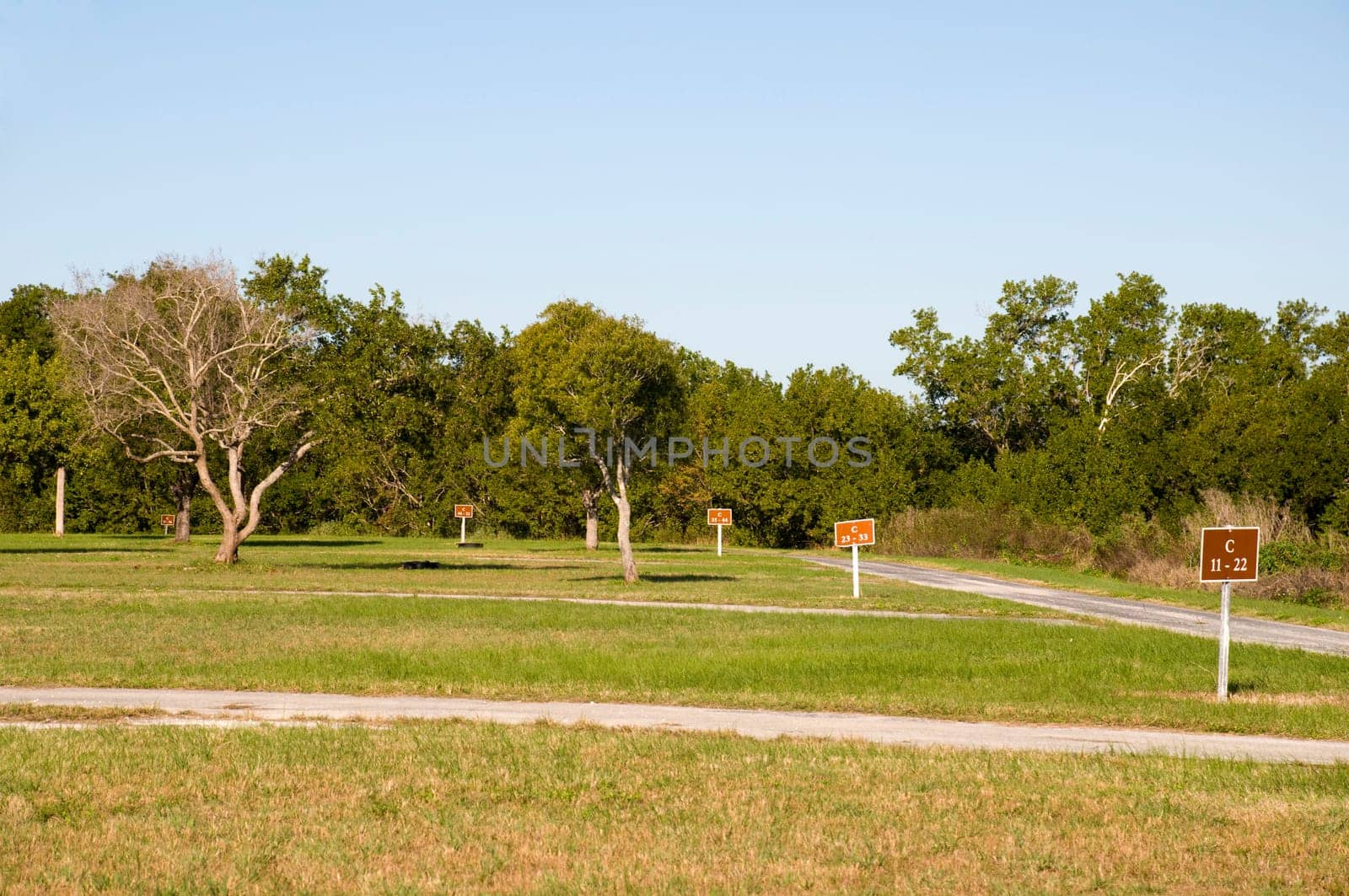 Camp Site in the Everglades