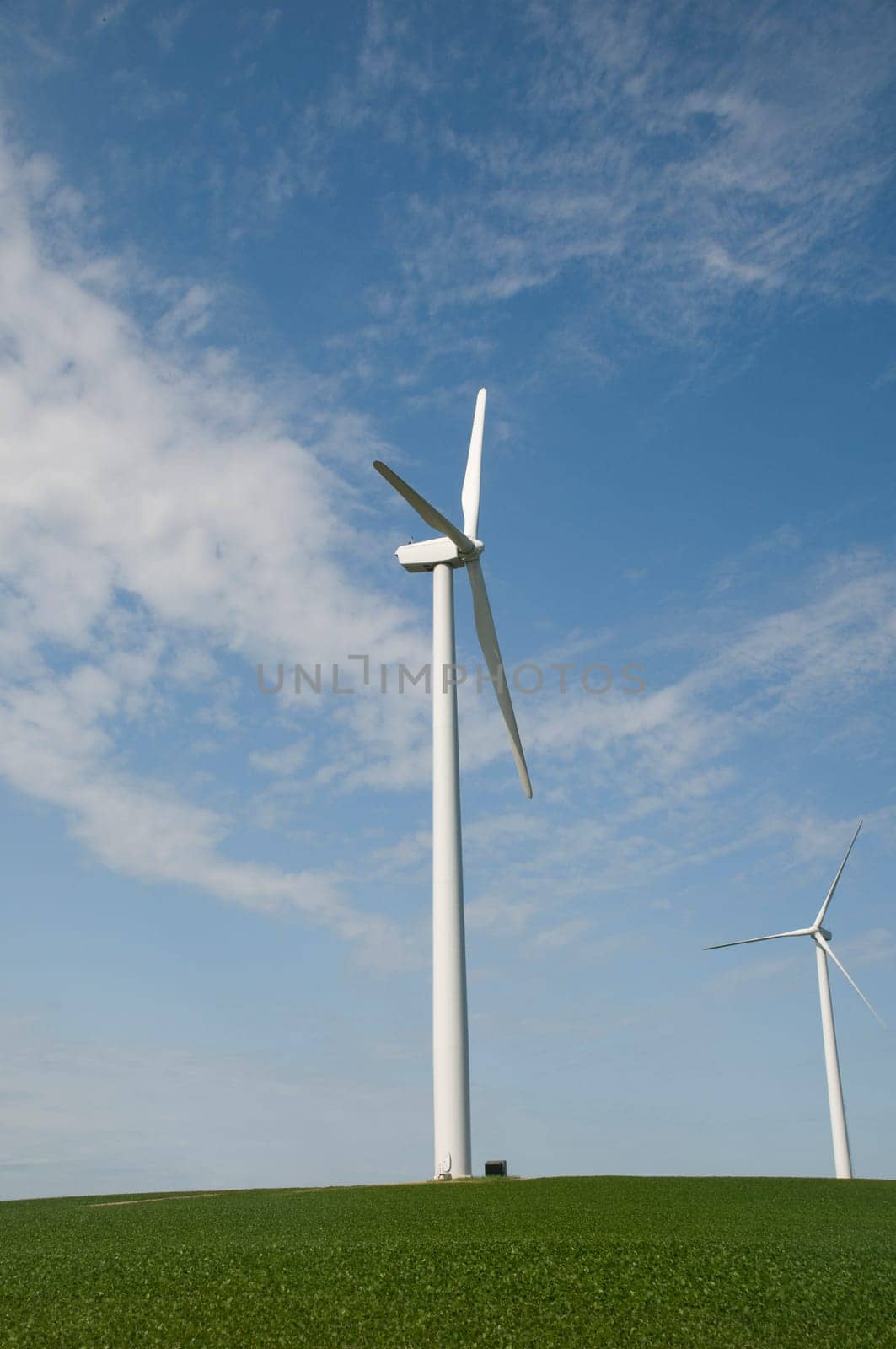 wind,turbines,soybean,crop,green,iowa,farm,energy,power,blue,sky,clouds