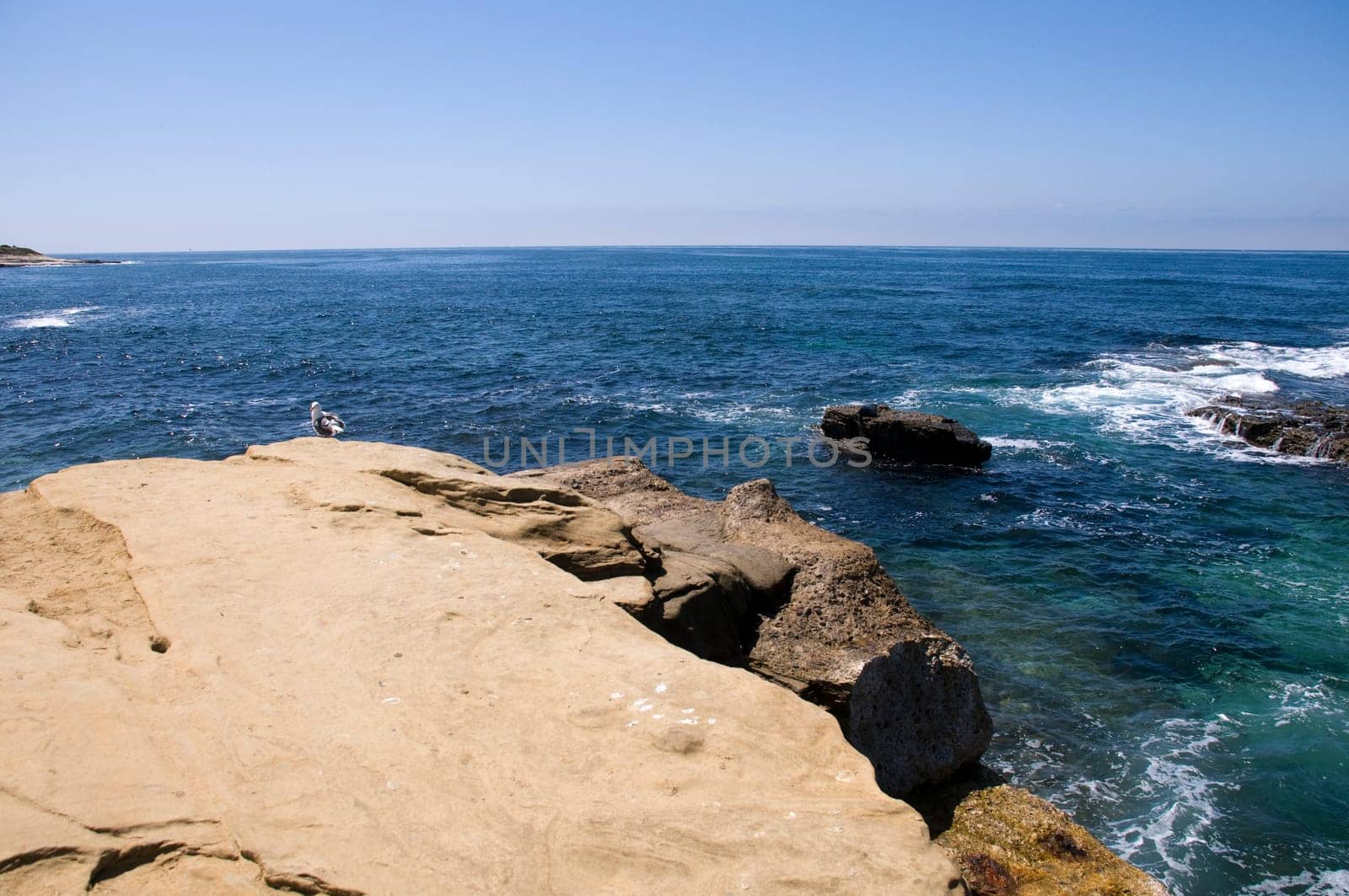 Landscape in San Diego