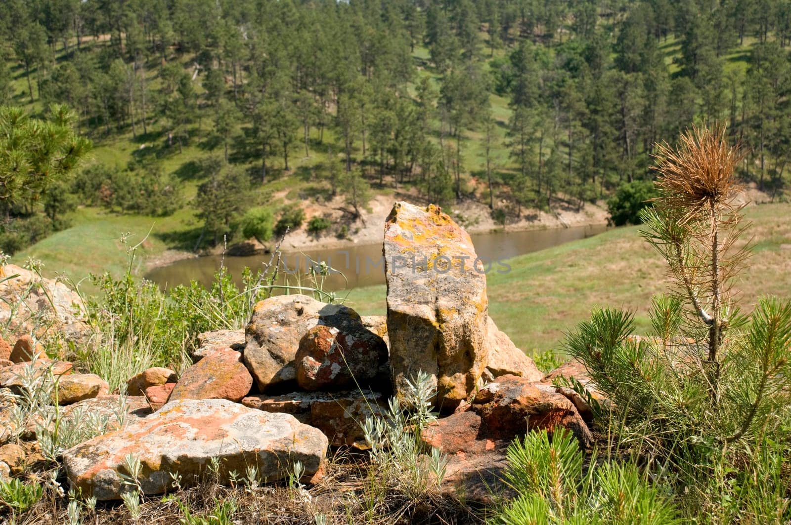 Landscape in Wyoming