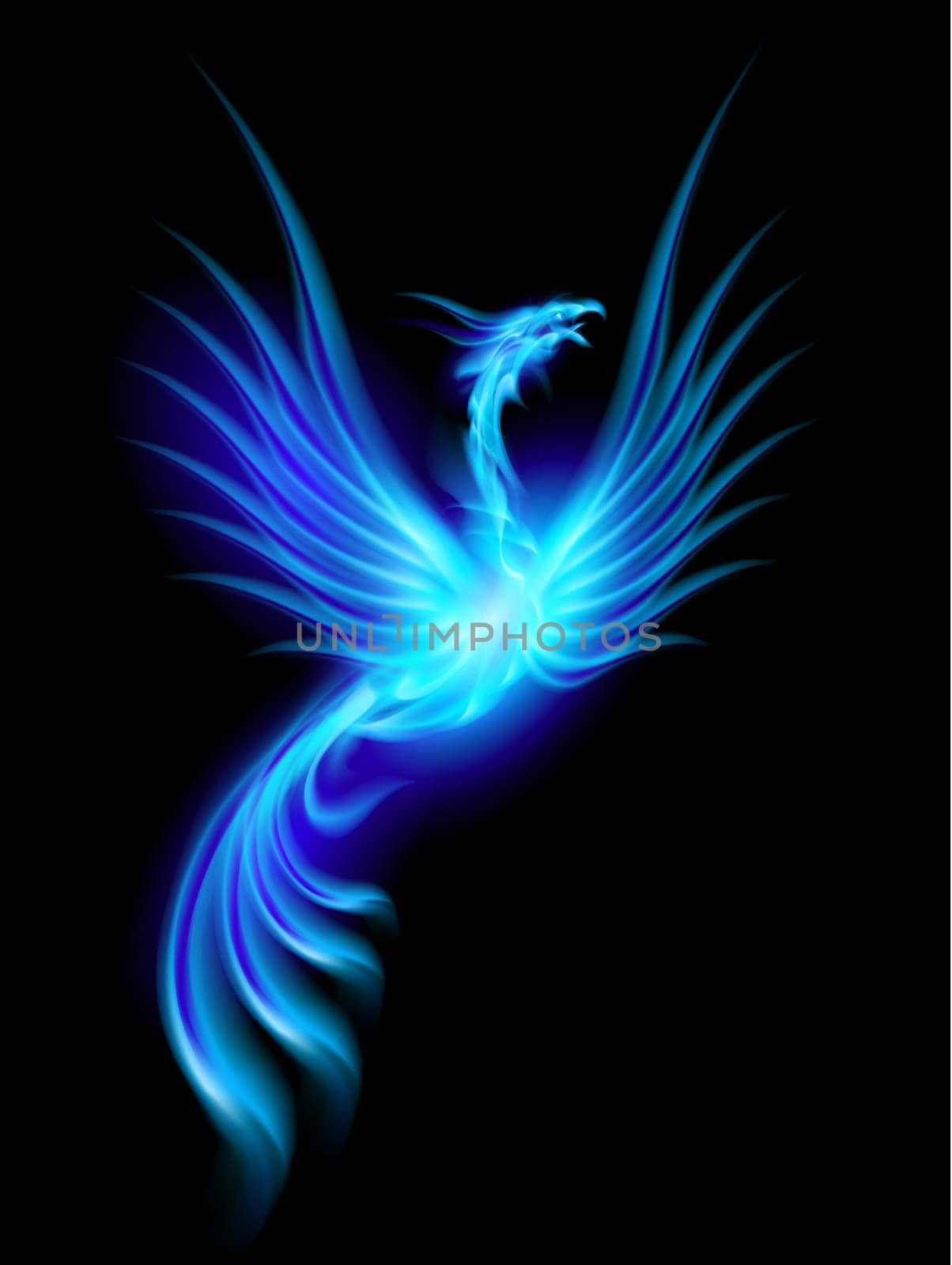 Beautiful Blue Burning Phoenix. Illustration isolated over black background