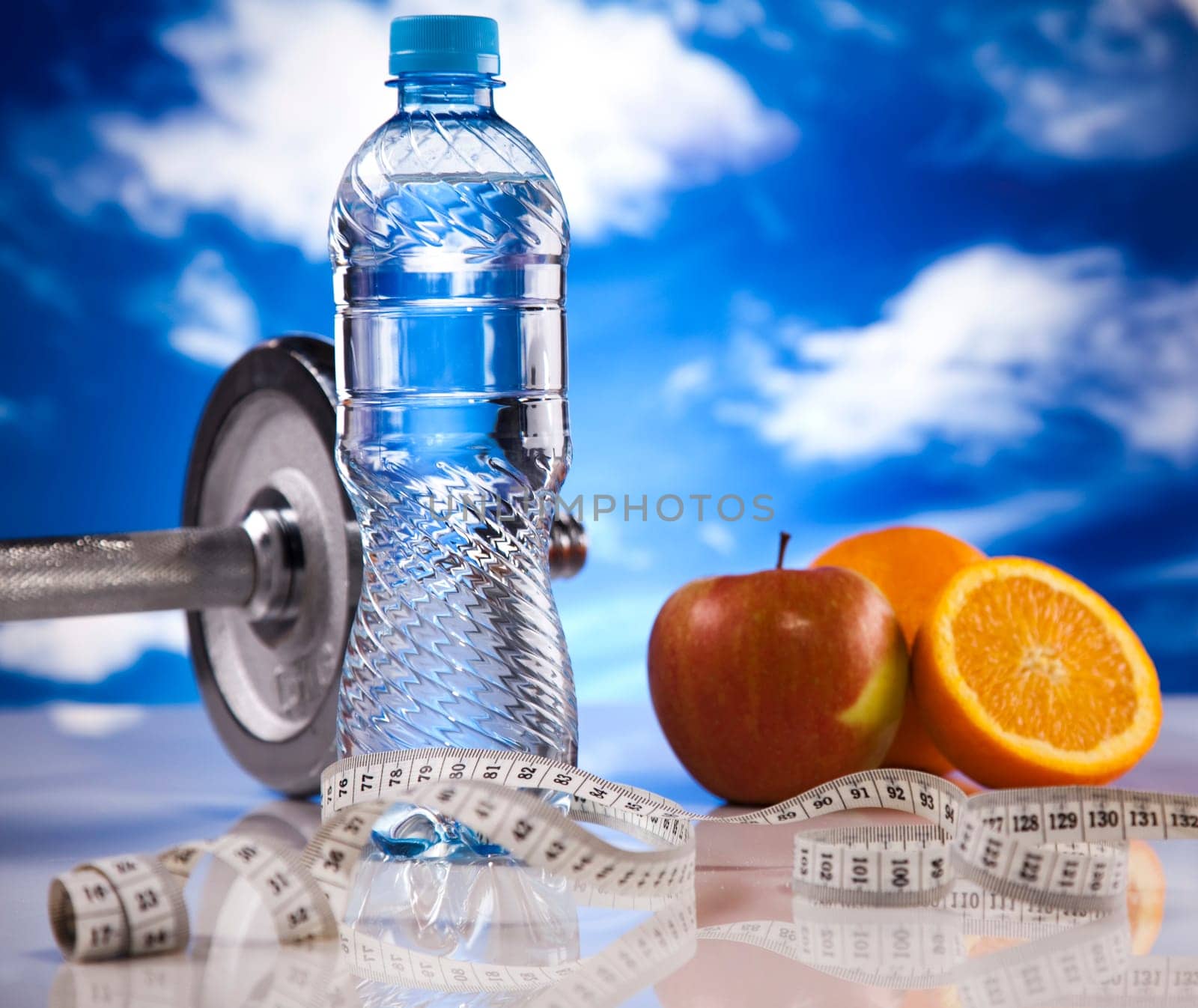 Fitness diet