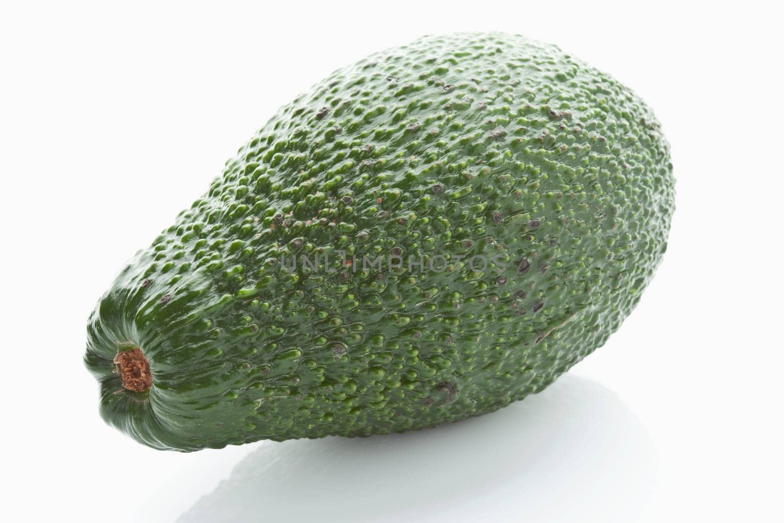 avocado (Persea americana)