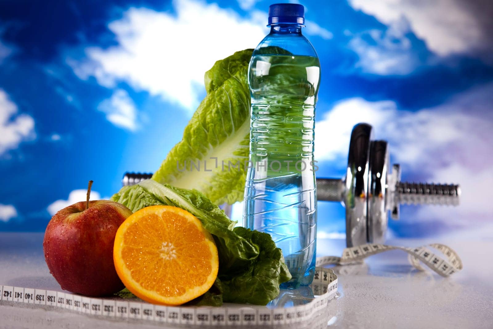 Fitness diet
