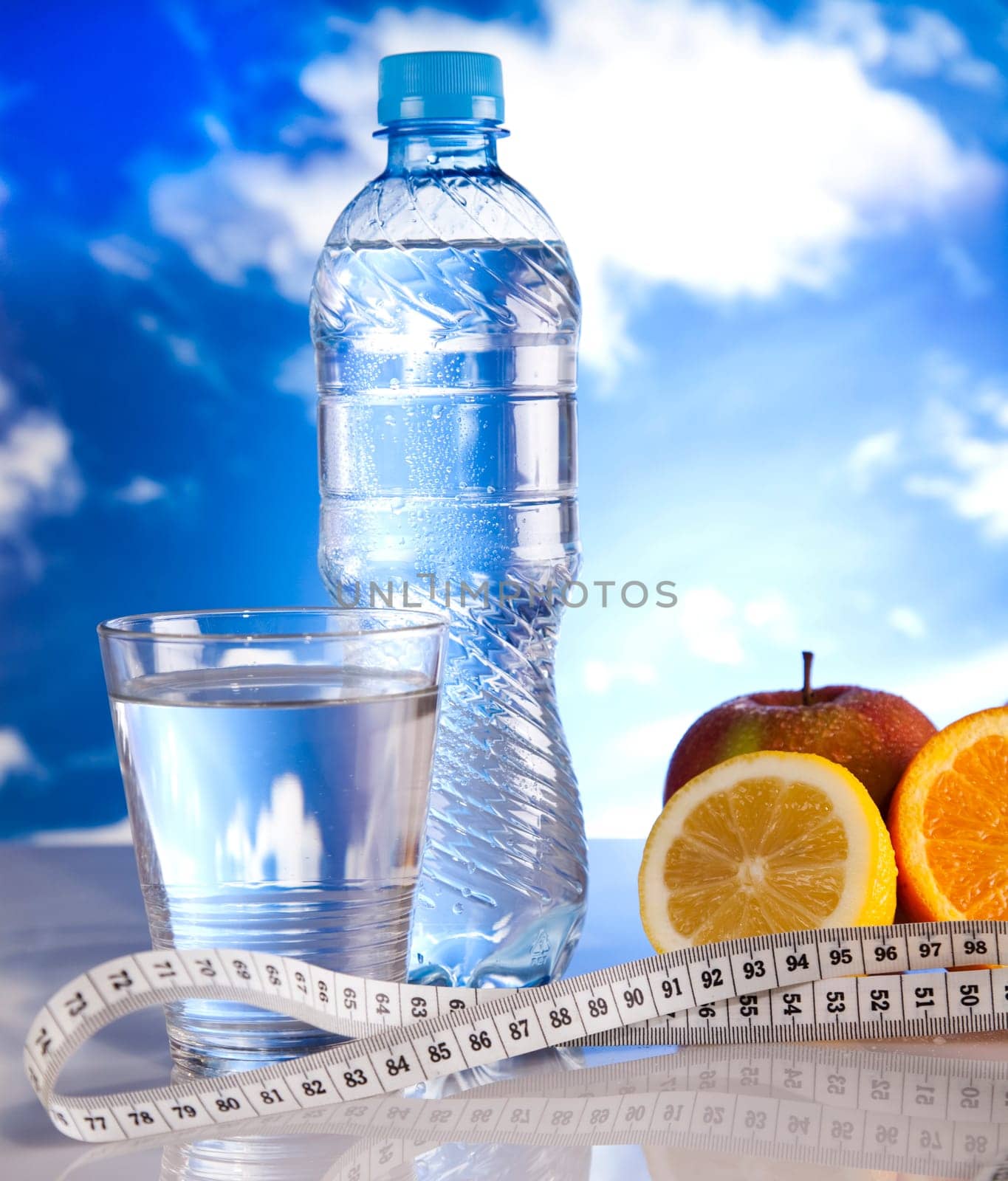 Fitness diet