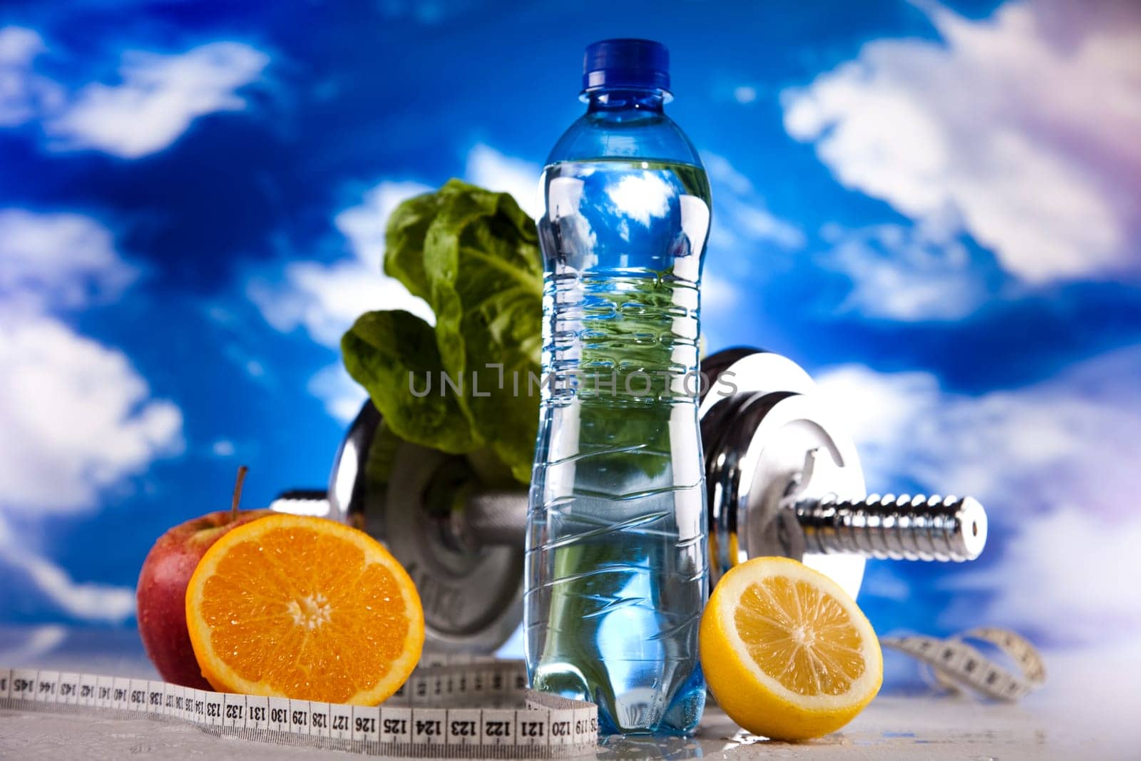 Fitness diet