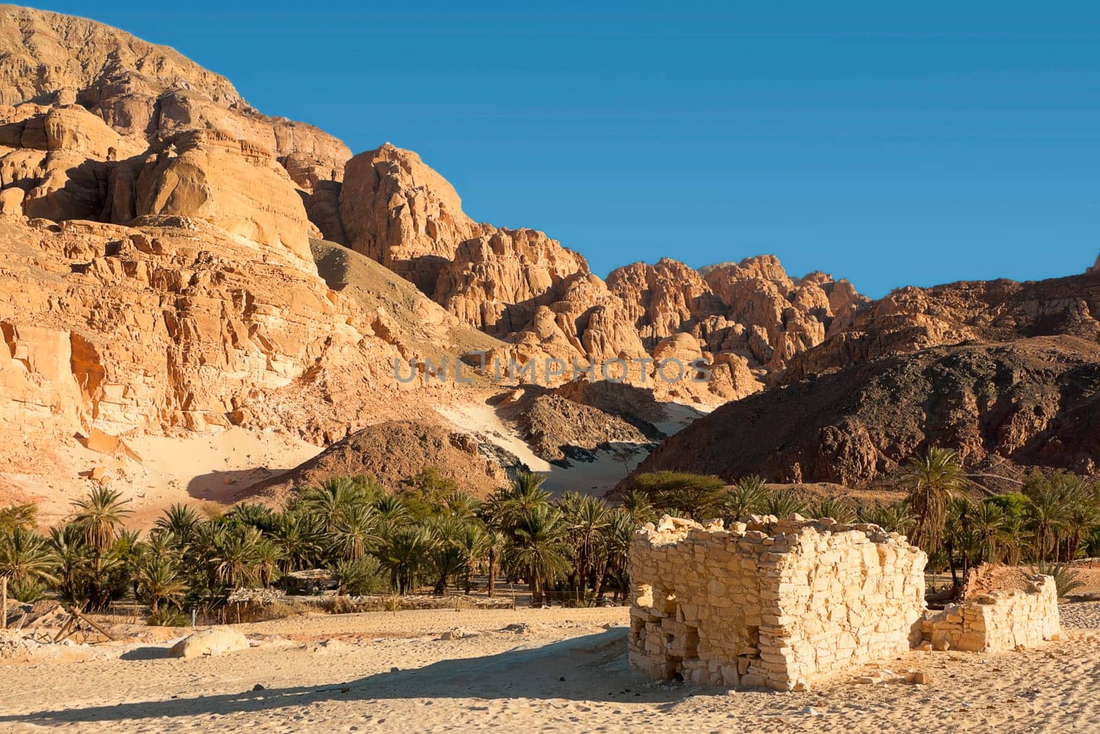 EVENING IN THE OASIS OF AIN HODRA