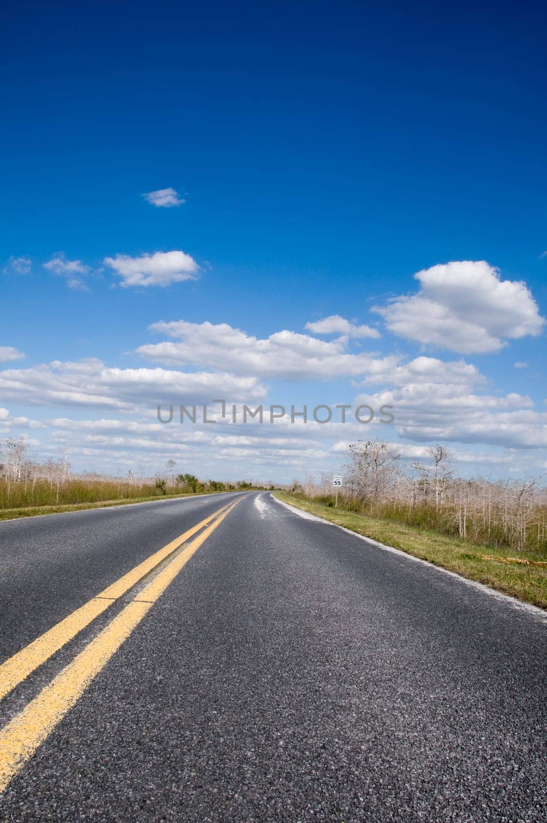 Road Through Everglades