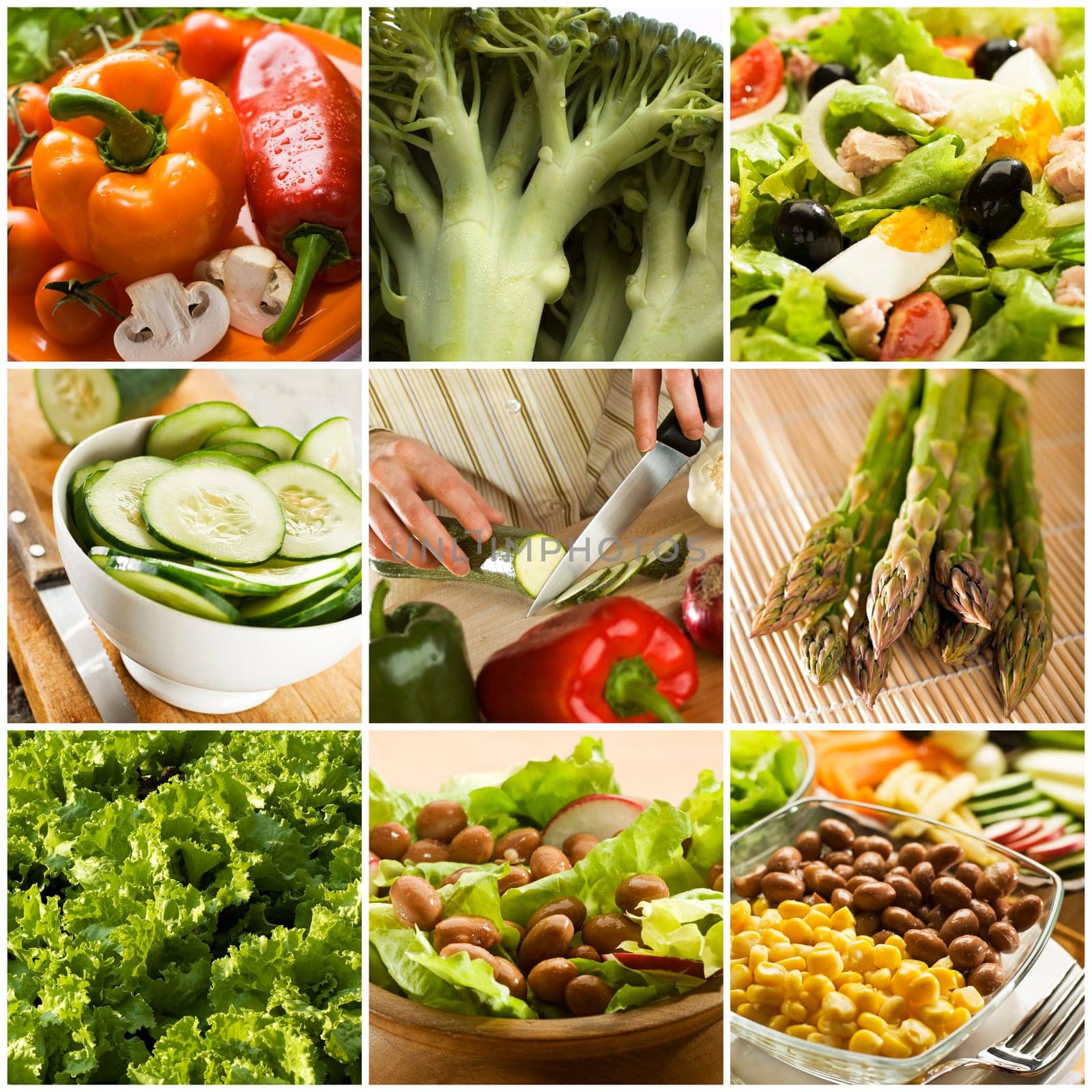 colorful healthy vegetables collage made from nine photographs