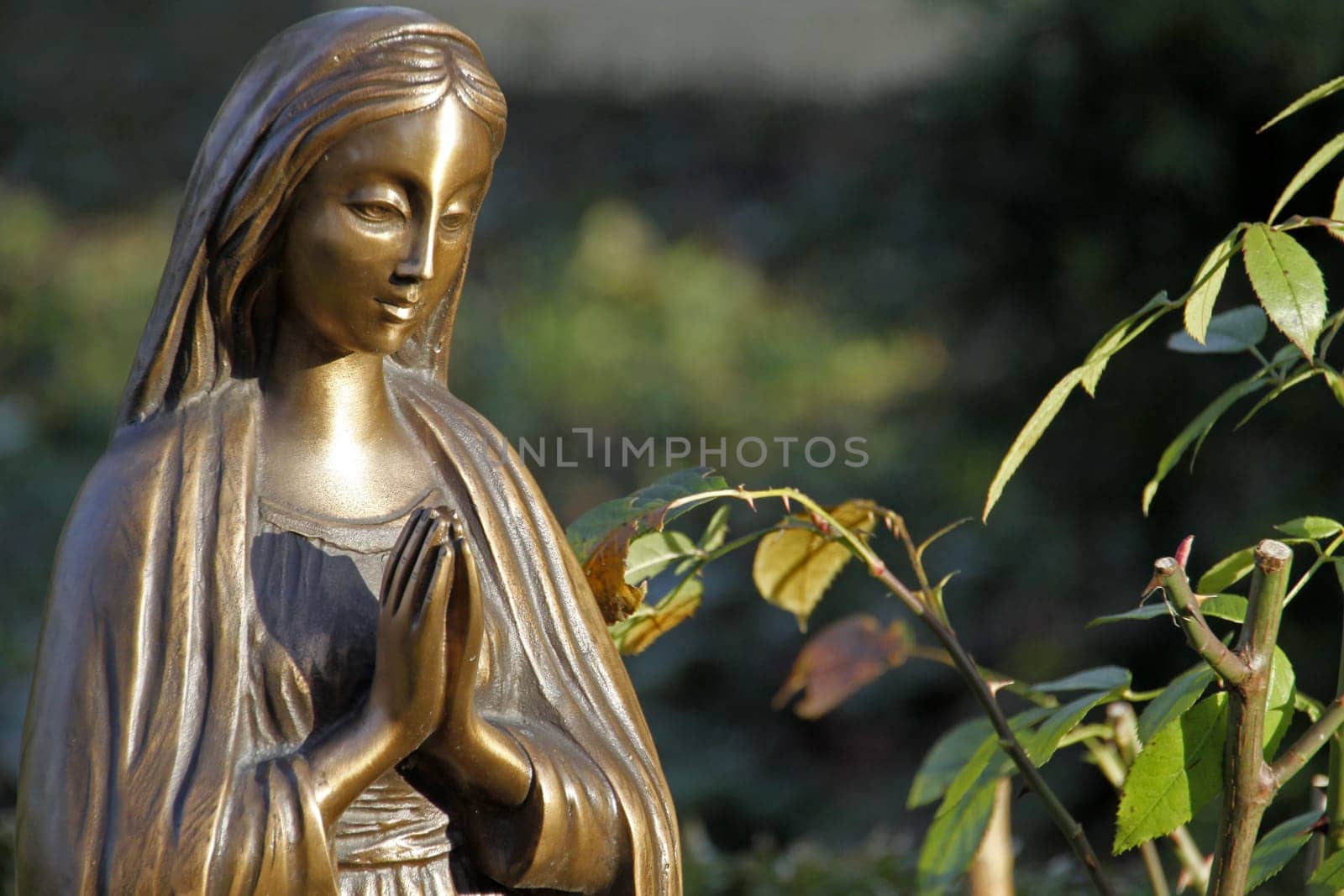 Praying Madonna