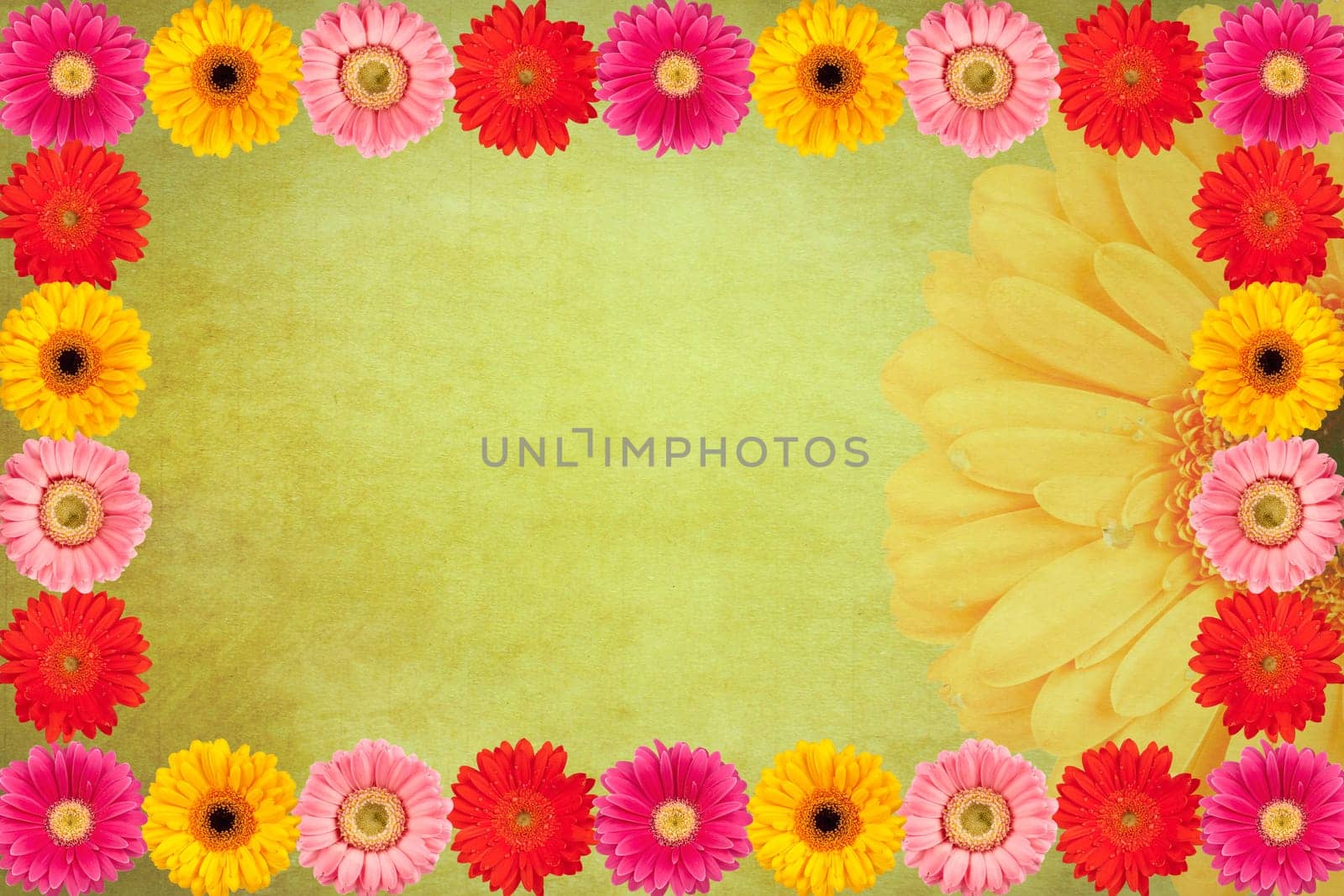 Vintage Gerbera Flower Background