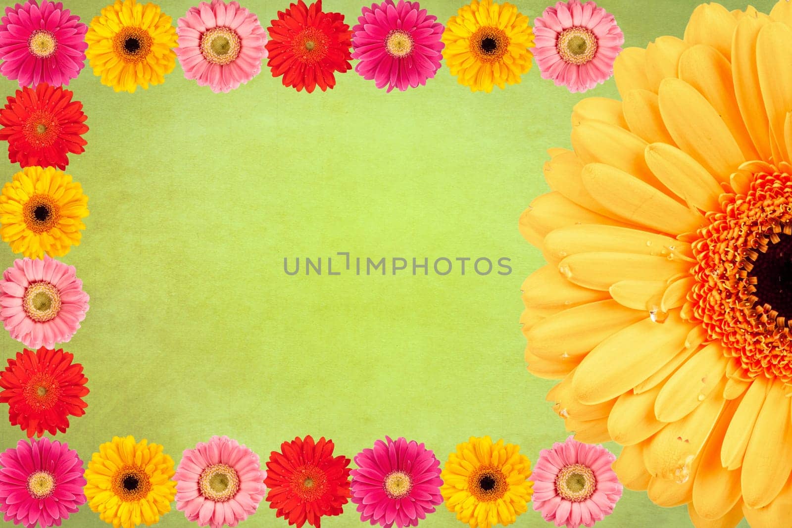 Vintage Gerbera Flower Background