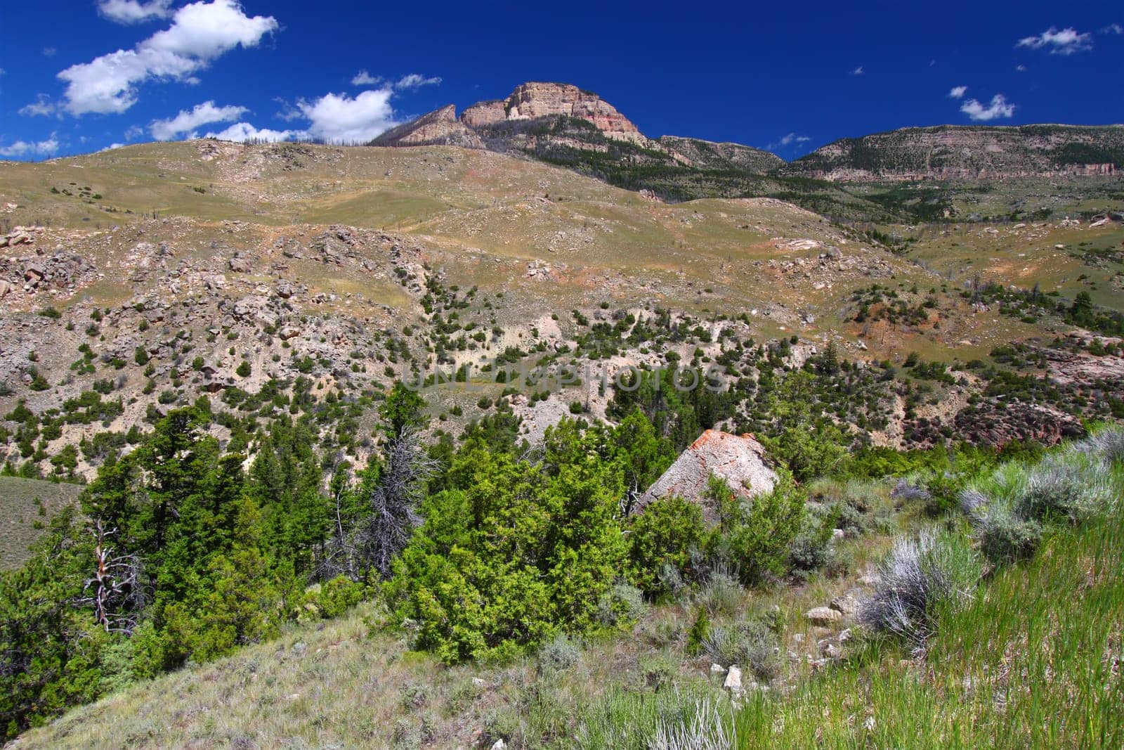 Rugged mountain scenery of the Bighorn National Forest in Wyoming.