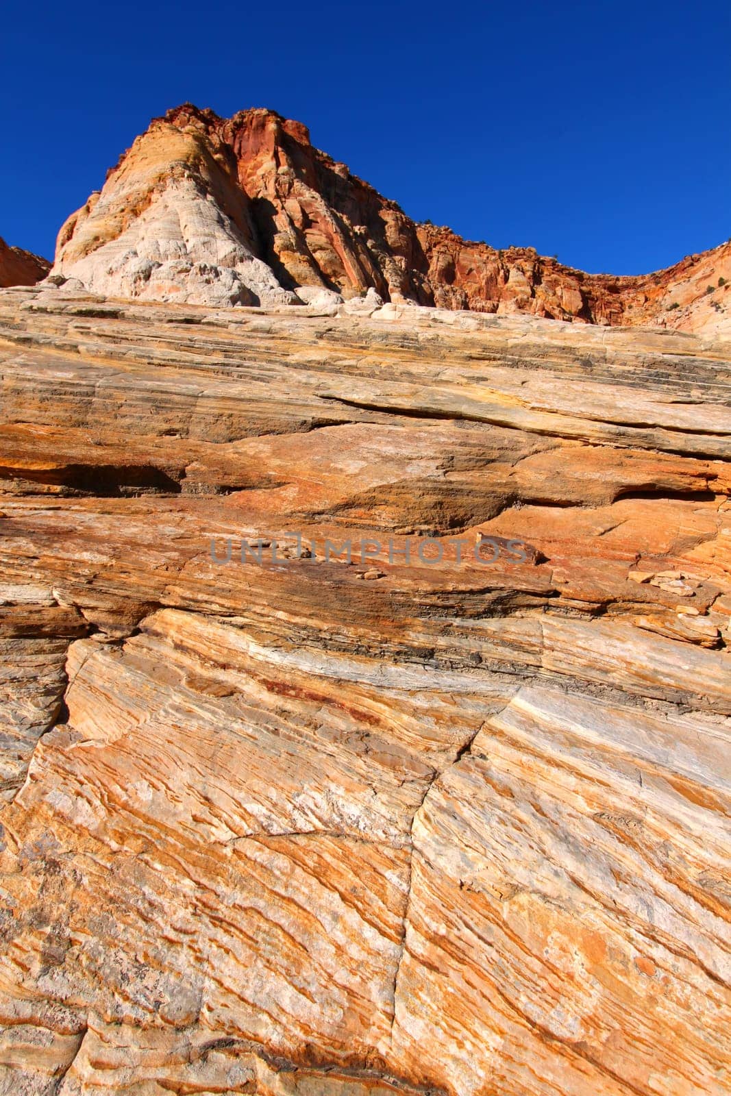 Steep topography and rocky surfaces at Capitol Reef National Park in Utah.