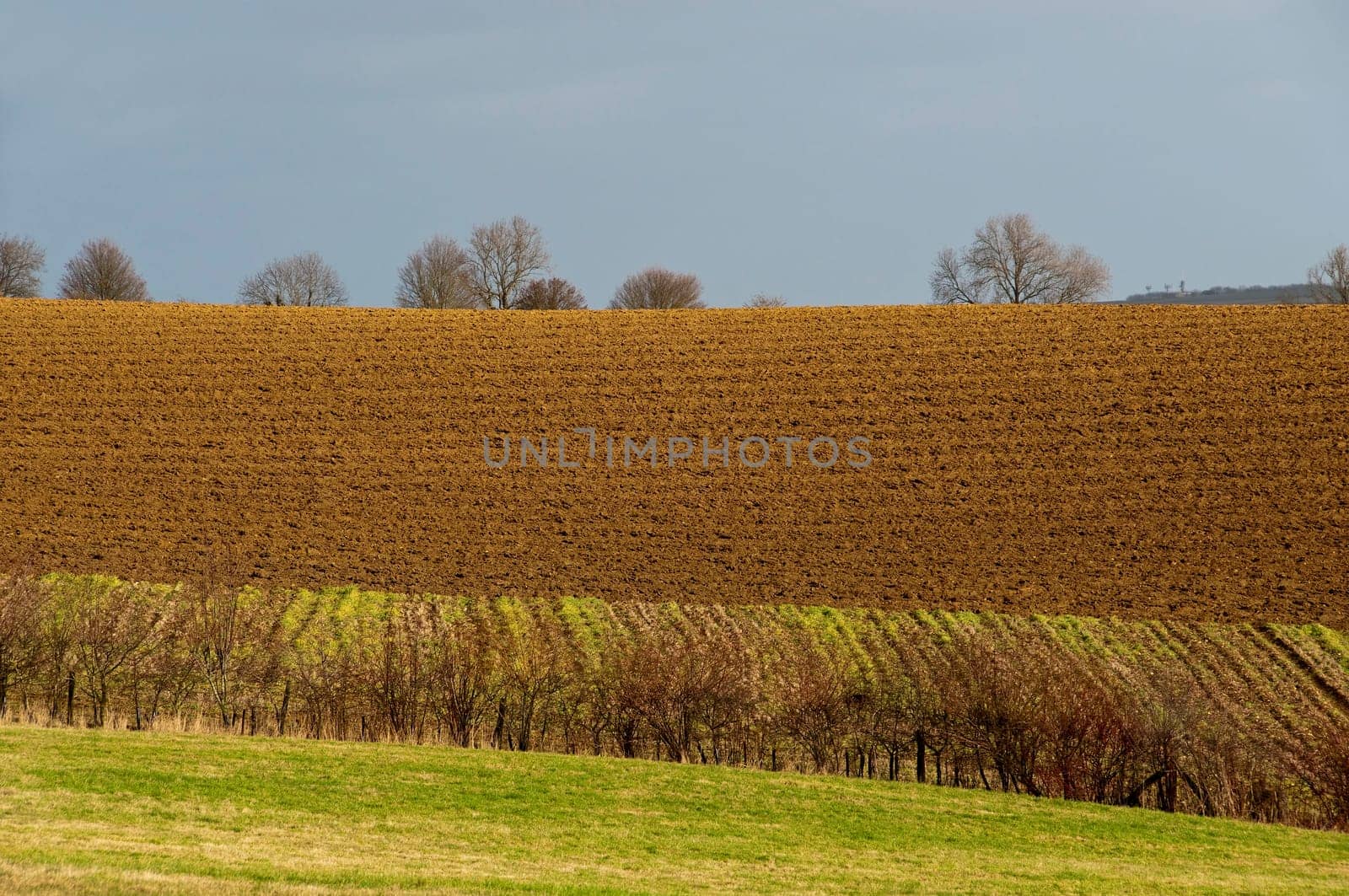 Plowed field in winter, England, UK