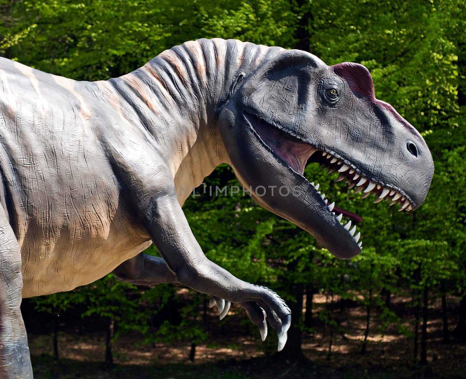 T- rex dinosaur outdoor close up shoot