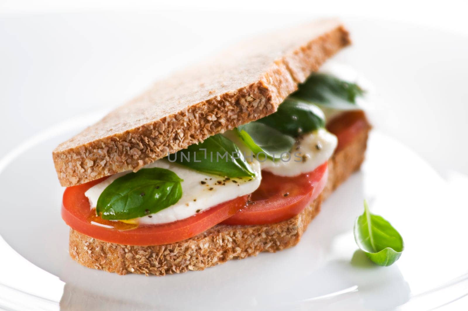 Tomato, mozzarella and basil sandwich close up