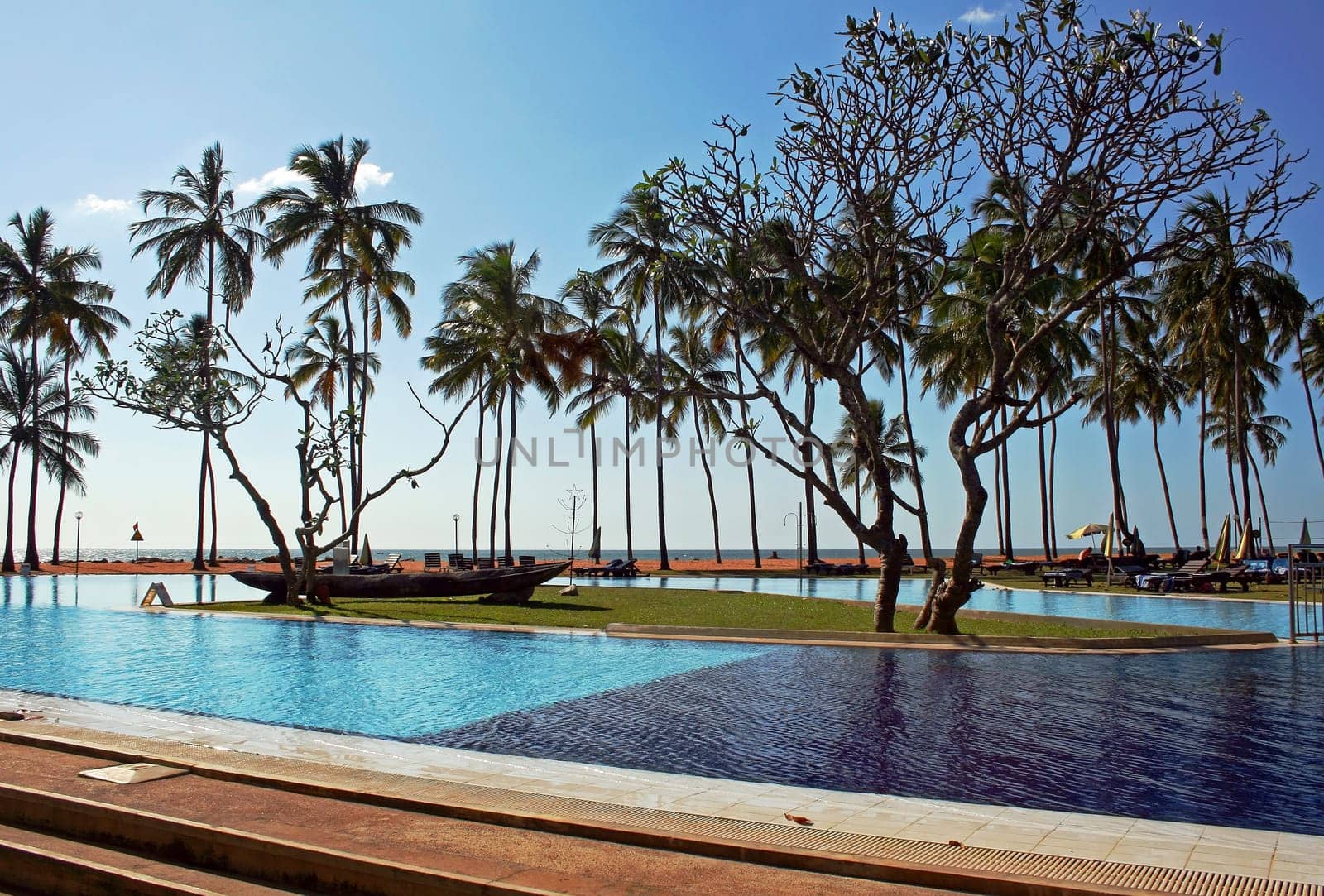Holidays in Asia - Swimming pool and palm trees