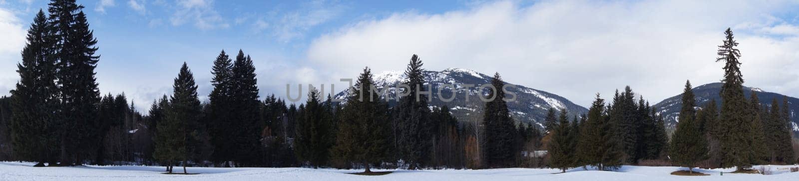Panoramic Mountain View