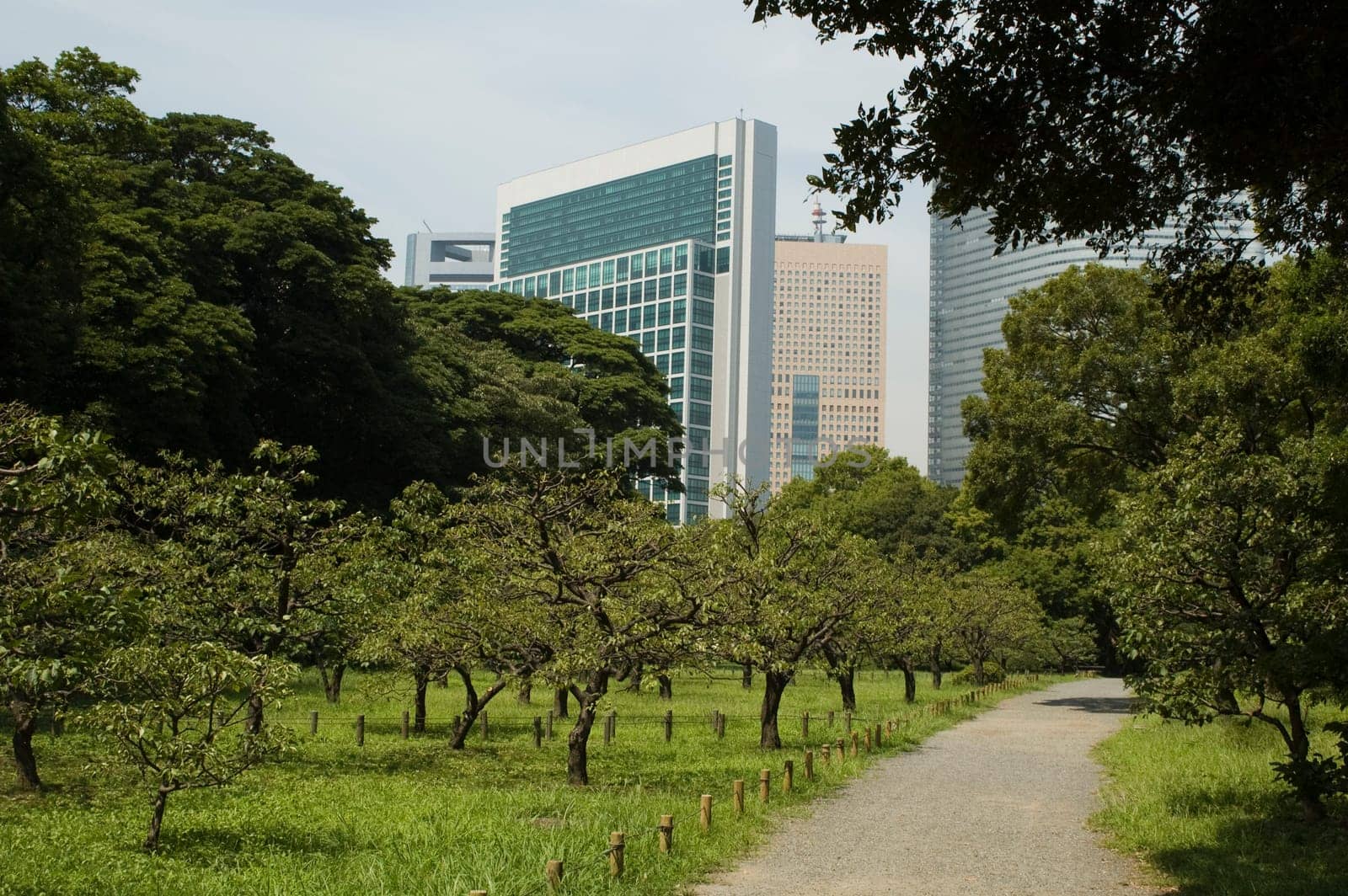 Park in Tokyo
