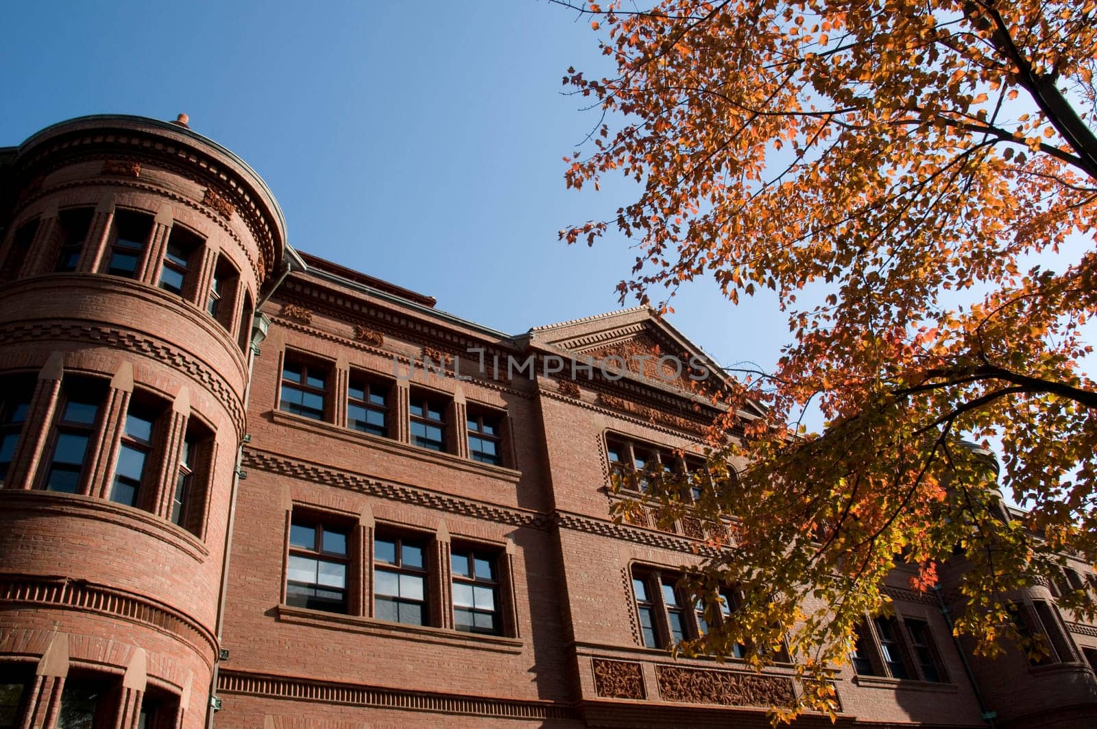 Harvard in Cambridge in the Fall