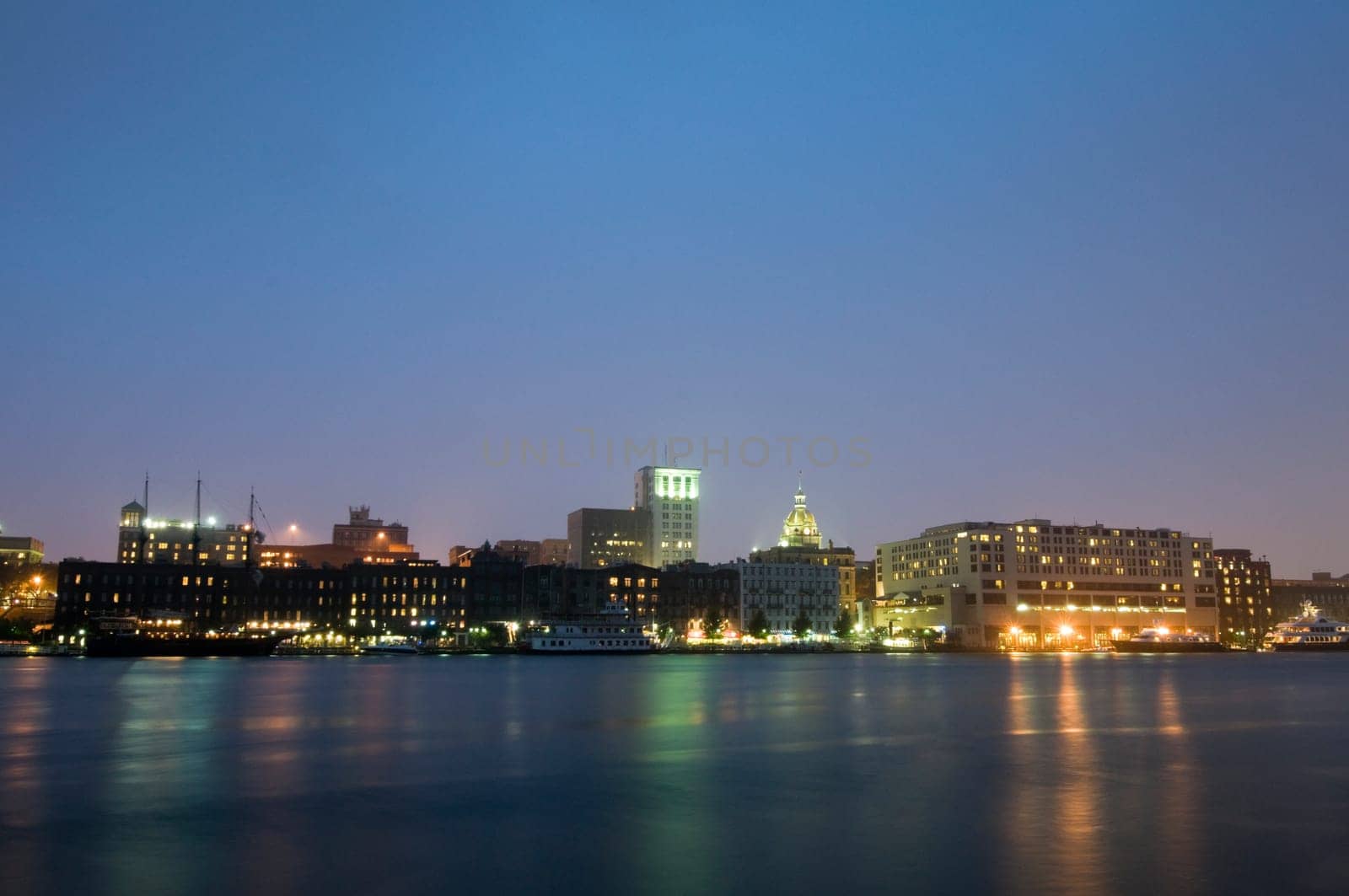 Savannah at Night