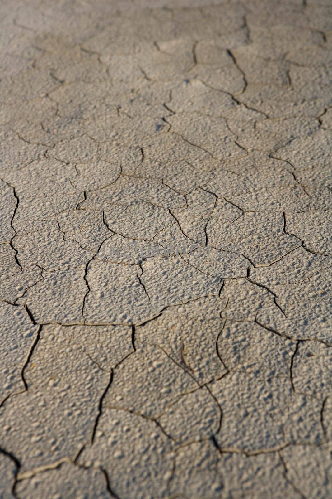 Full frame of Cracked ground