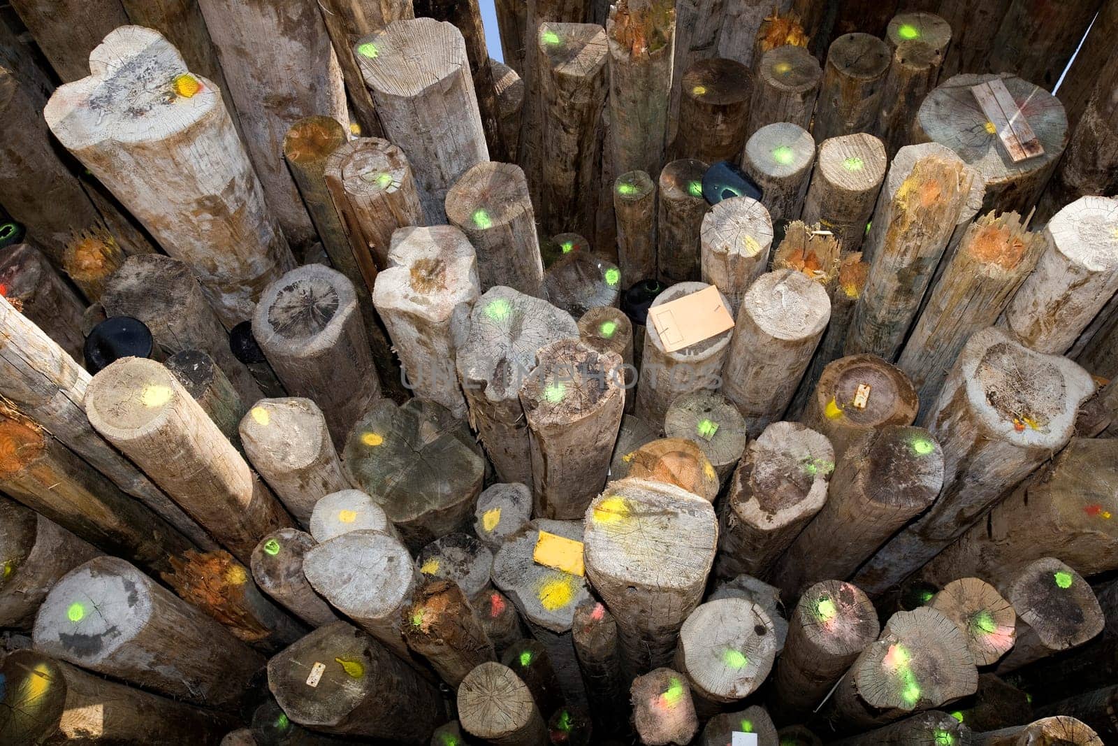 Large group of Timber full frame