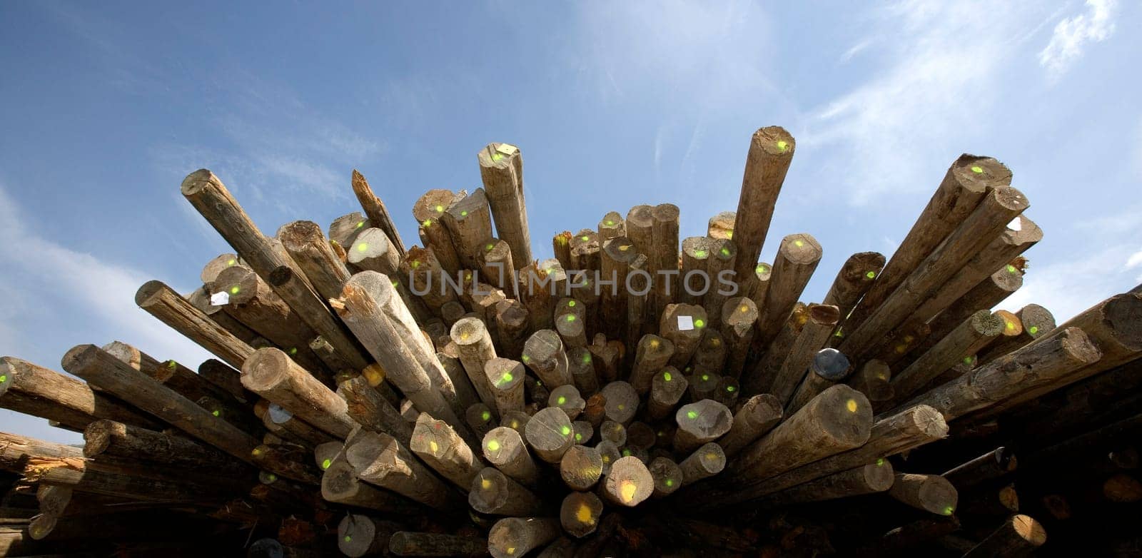 Large group of Timber towards blue sky