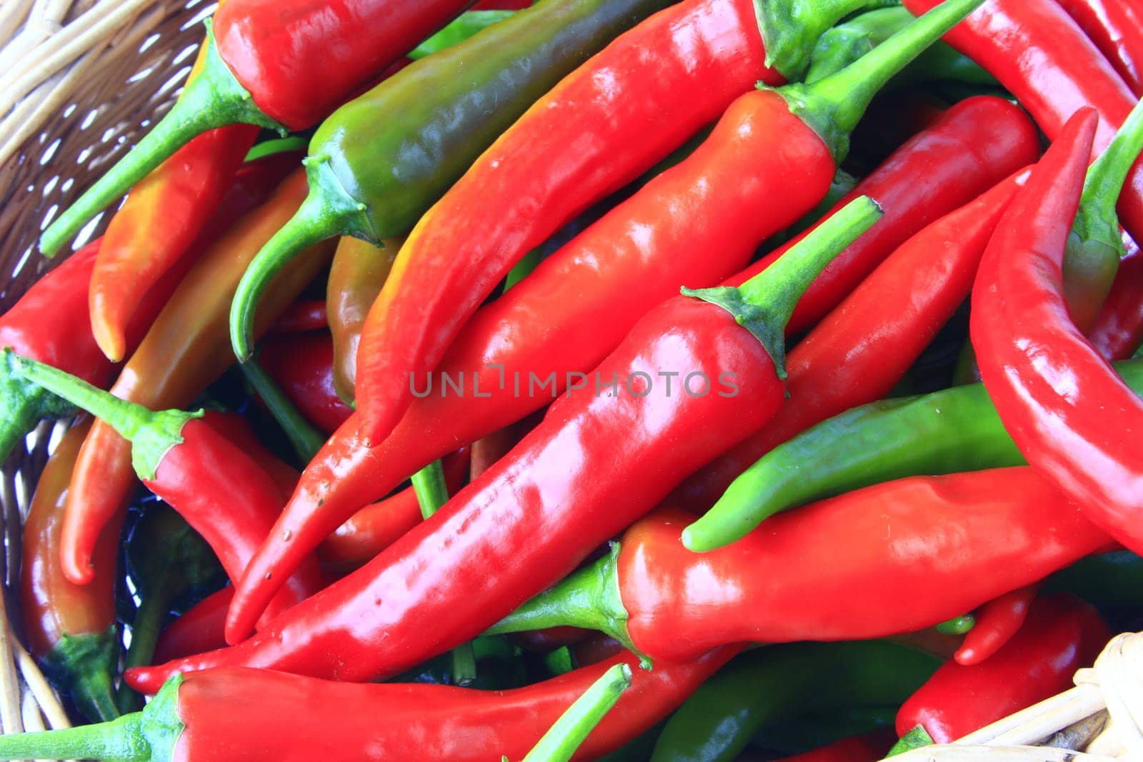 red and green peppers red and green chillies