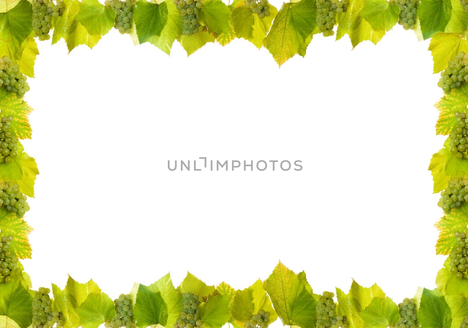 frame made from white wine grapes on white