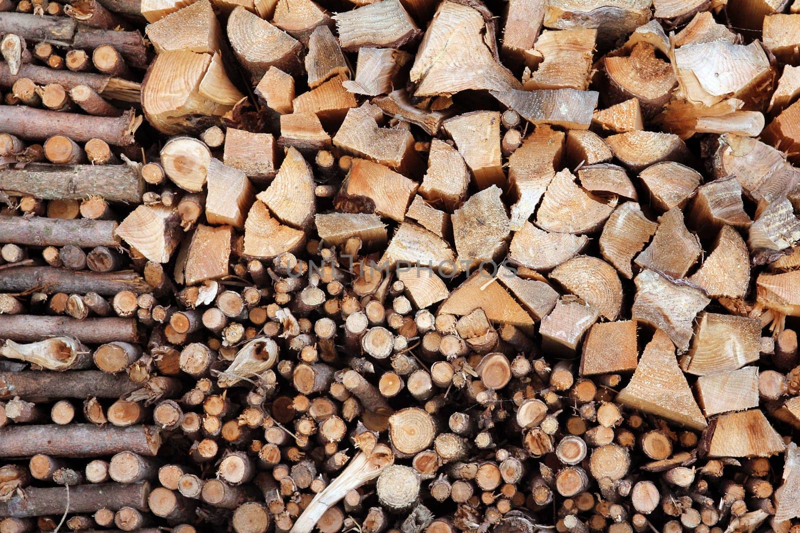 A pile of firewood