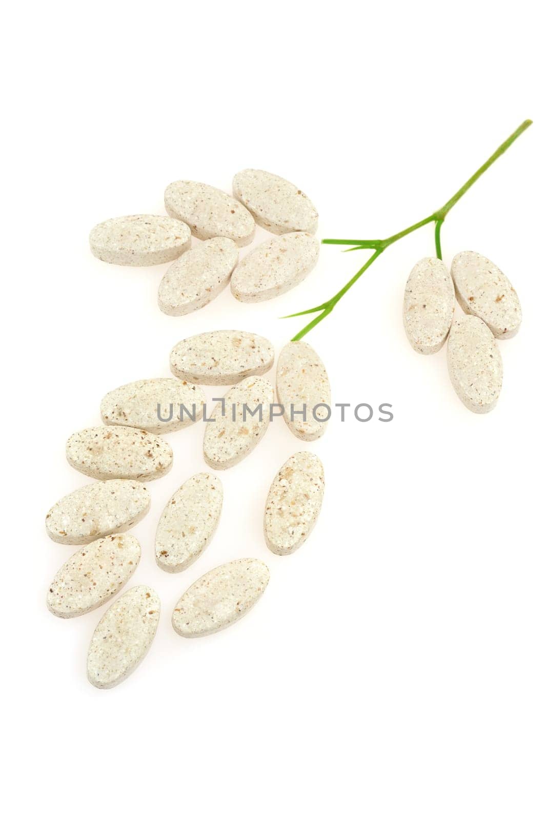 Plant made up of pills - alternative medicine concept