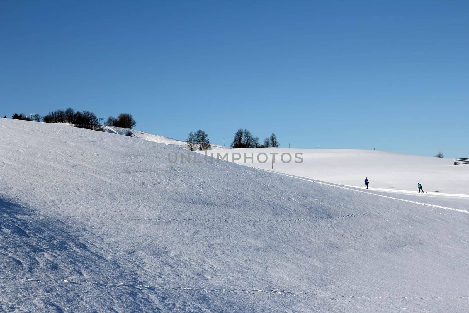 Cross-country skiing in Bavaria in glorious sunshine