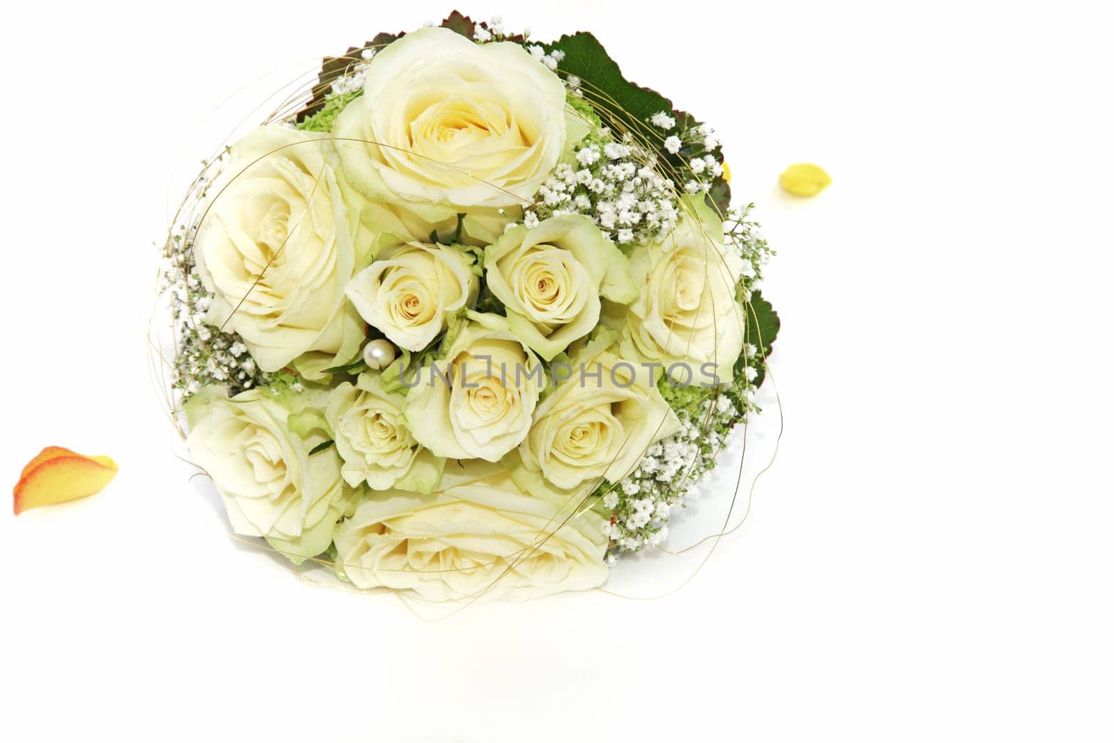 Beautiful circular bridal bouquet of fresh white roses and dainty gypsophylla