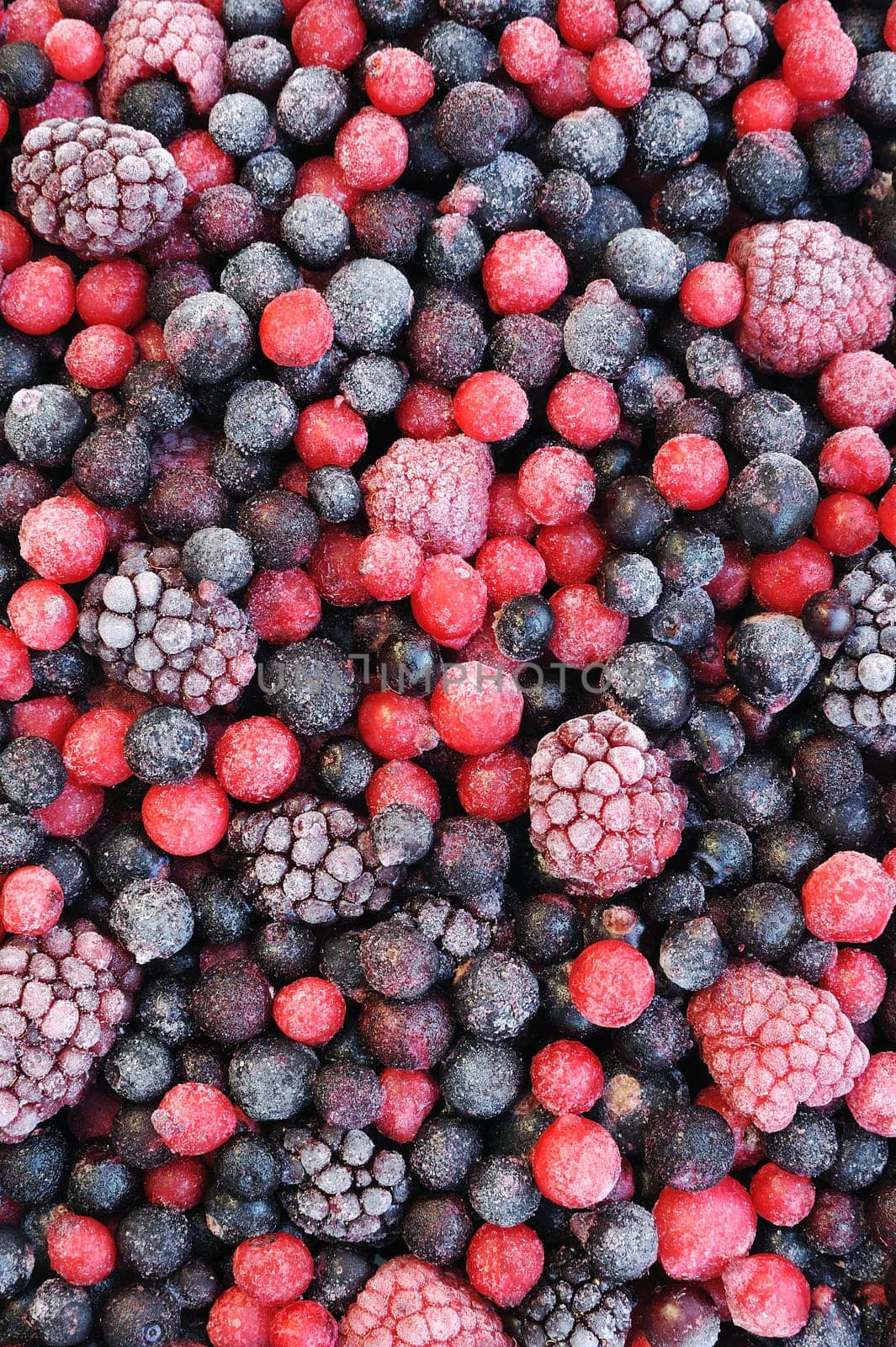 Close up of frozen mixed fruit - berries - red currant, cranberry, raspberry, blackberry, bilberry, blueberry, black currant