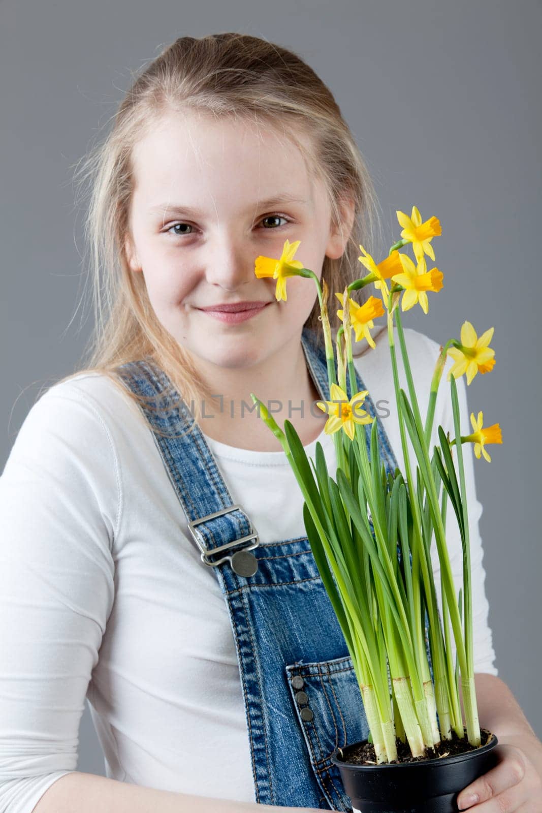 young happy girl with flowers. little girl on a gray background
