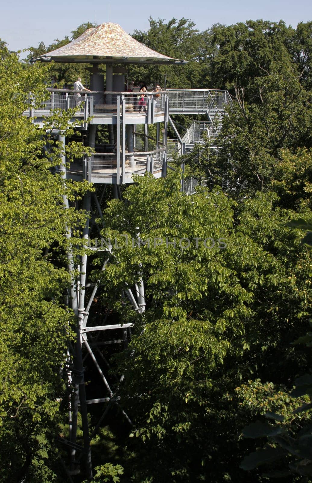Treetop Walk in Hainich National Park