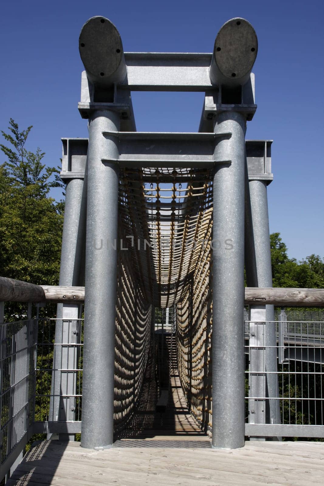 Treetop Walk in Hainich National Park