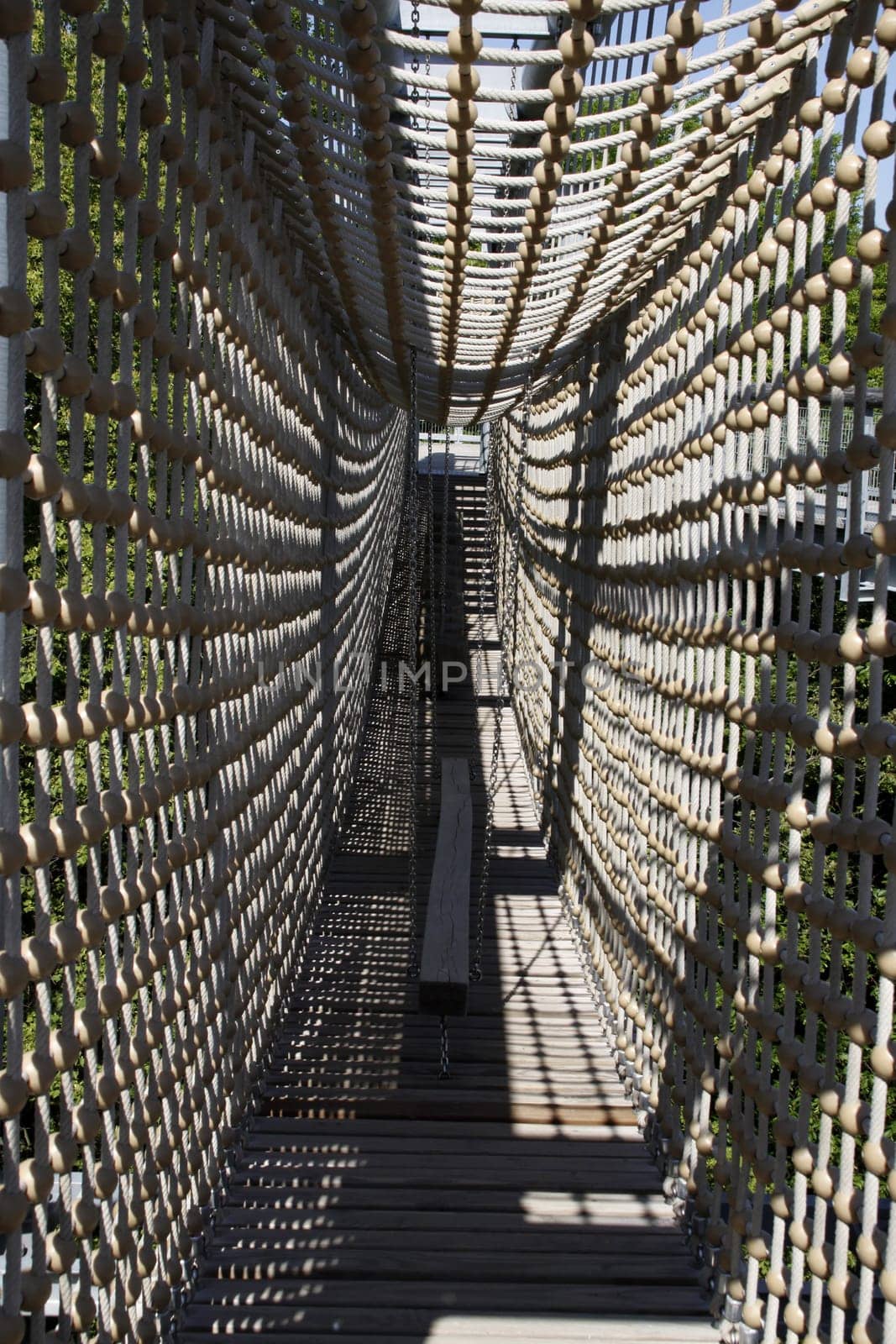 Treetop Walk in Hainich National Park