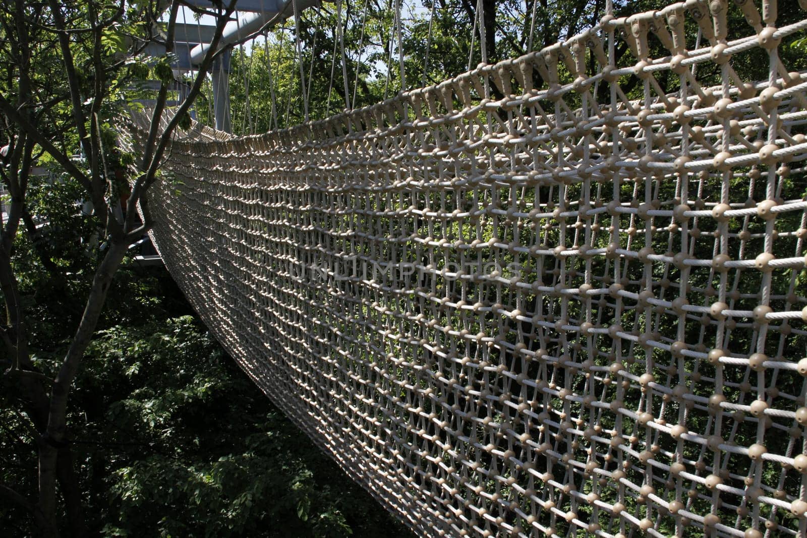 Treetop Walk in Hainich National Park