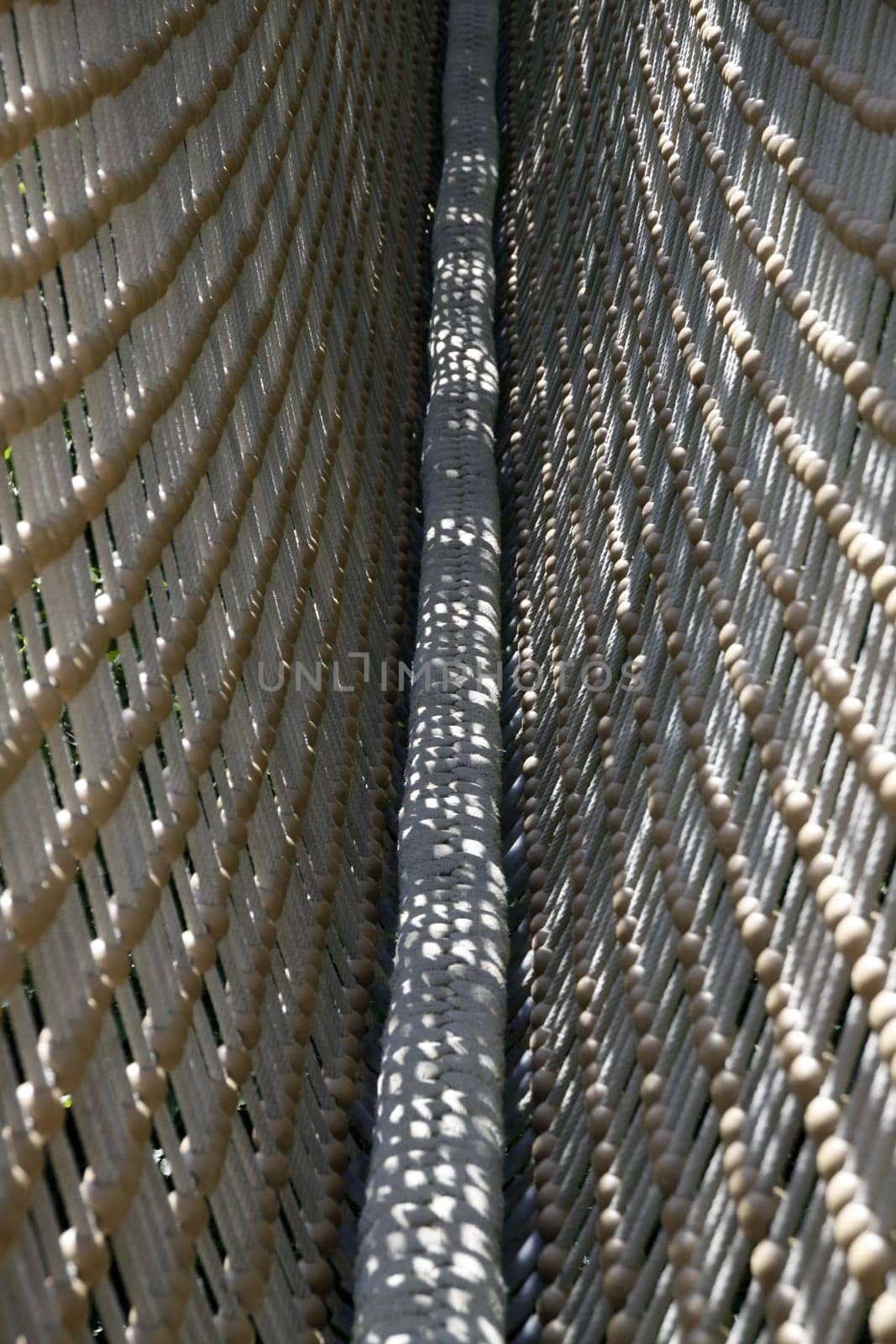 Treetop Walk in Hainich National Park
