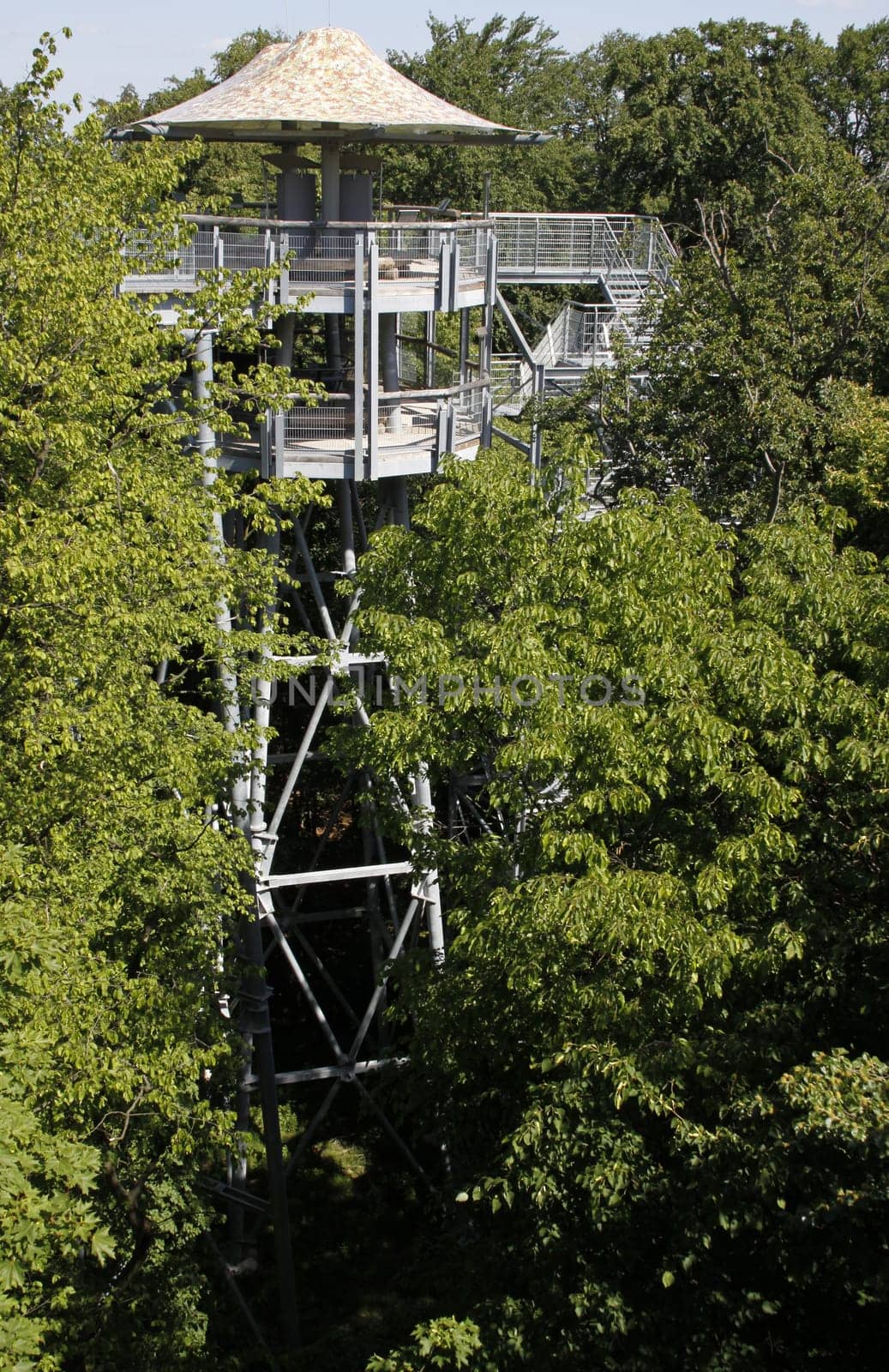 Treetop Walk in Hainich National Park