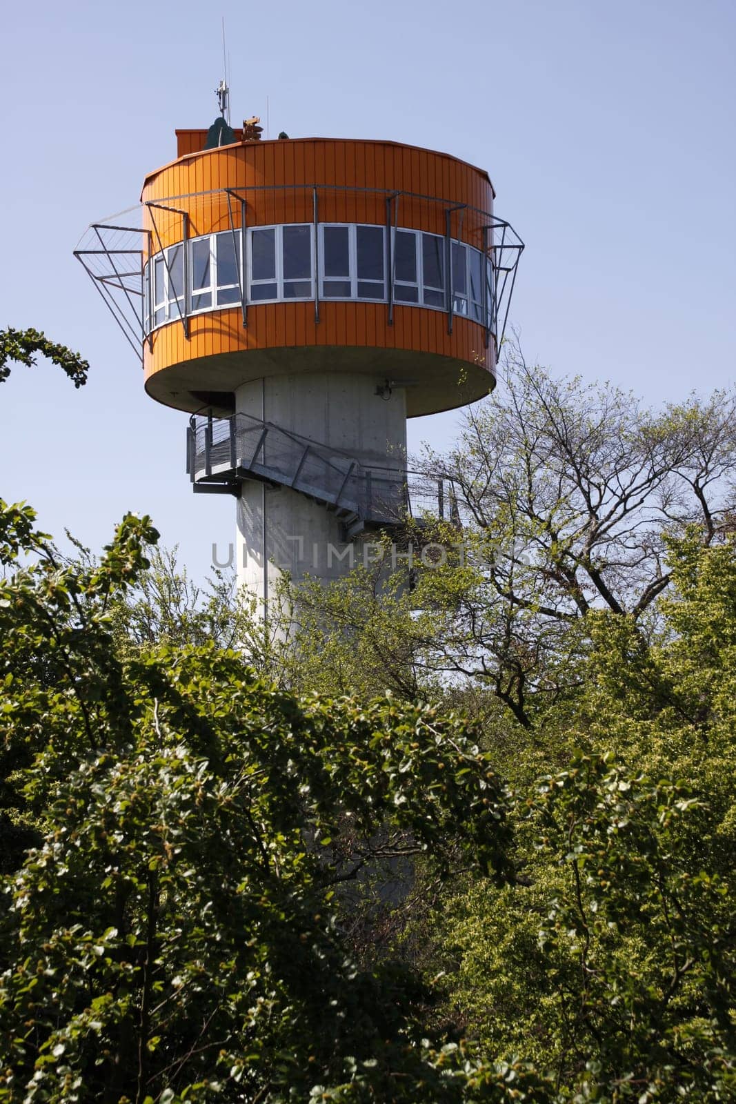 Treetop Walk in Hainich National Park